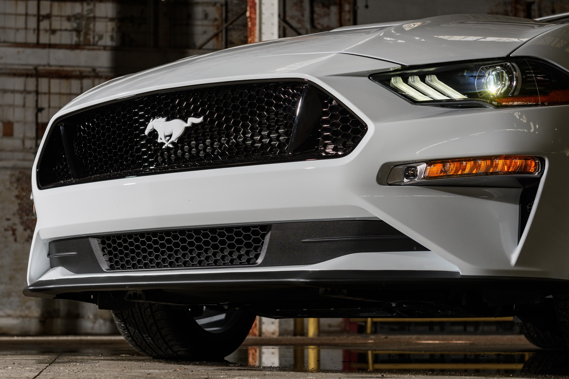 Ford Gets Rollin’ With 2022 Mustang Coupe And Mach-E Ice White Editions