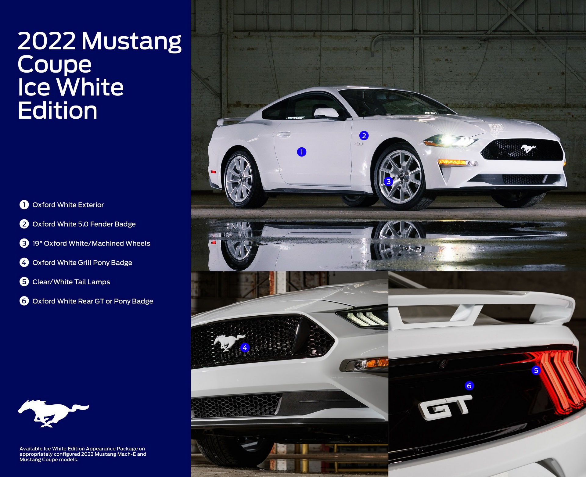 Ford Gets Rollin’ With 2022 Mustang Coupe And Mach-E Ice White Editions