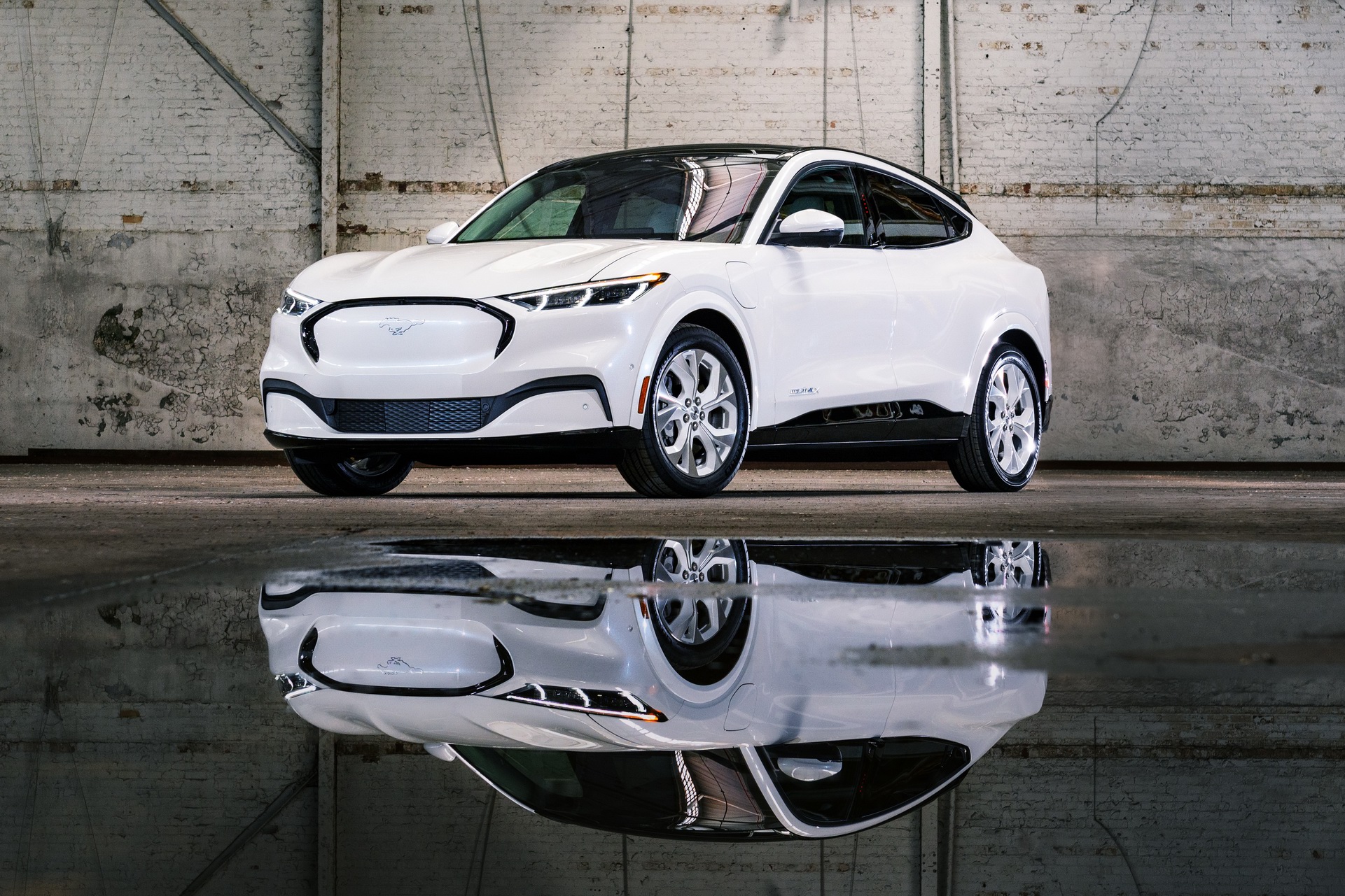 Ford Gets Rollin’ With 2022 Mustang Coupe And Mach-E Ice White Editions