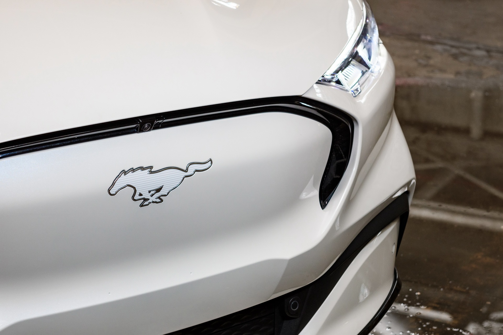 Ford Gets Rollin’ With 2022 Mustang Coupe And Mach-E Ice White Editions