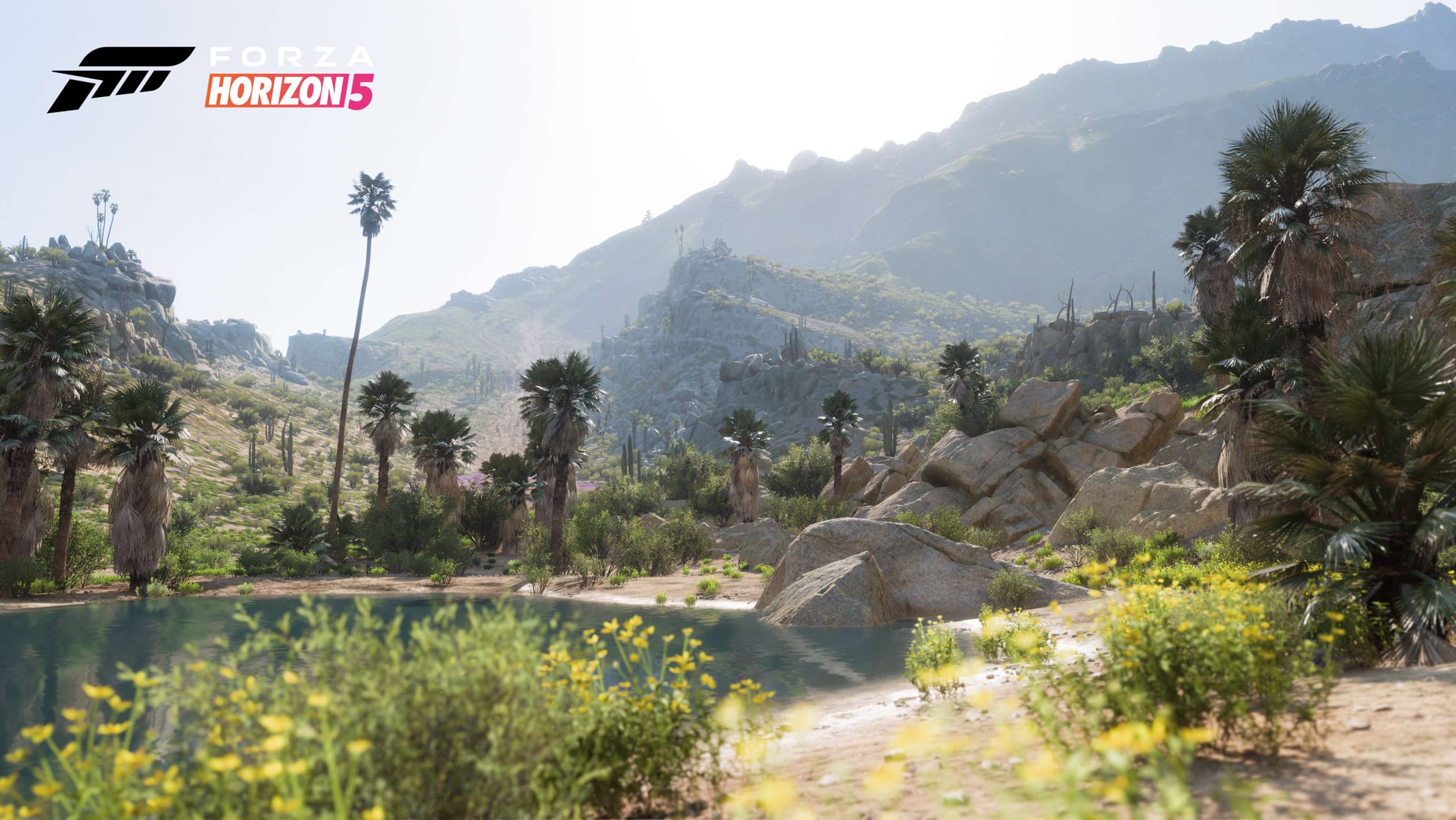 Full Map Revealed For Mexico-Based Forza Horizon 5