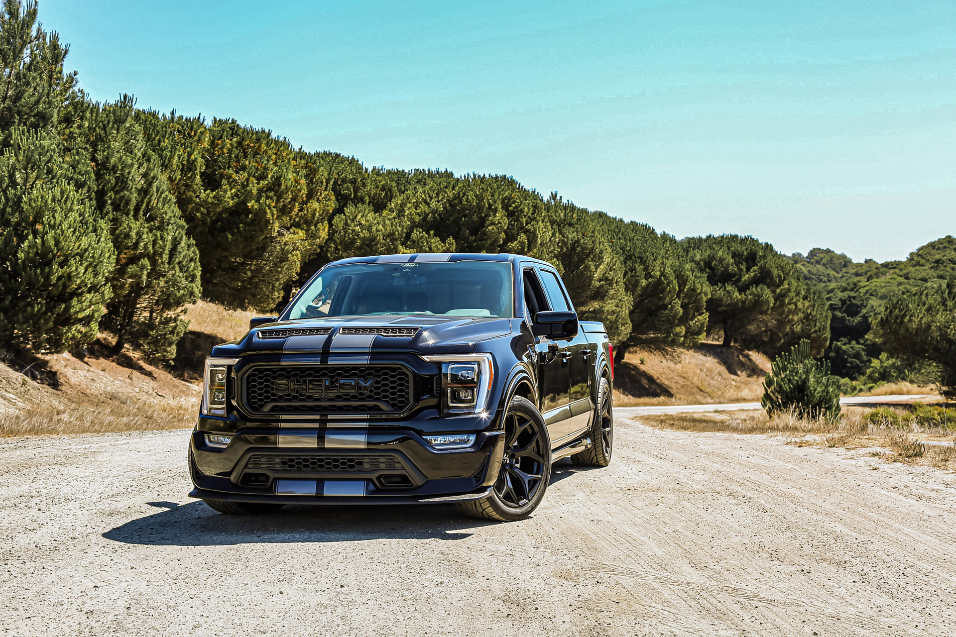 2021 Shelby F-150 Super Snake Pumps Out 775 HP, Priced From $113,680