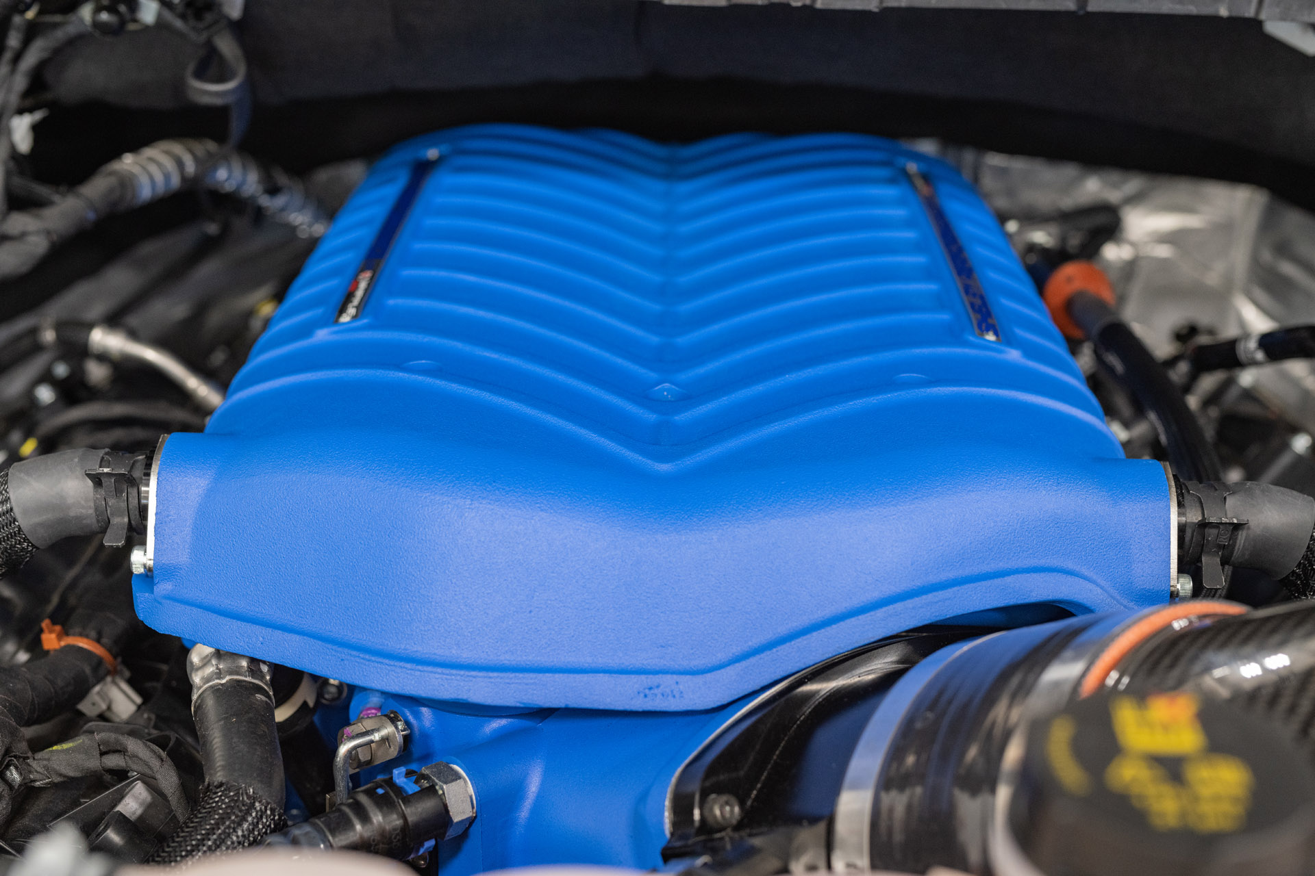 2021 Shelby F-150 Super Snake Pumps Out 775 HP, Priced From $113,680