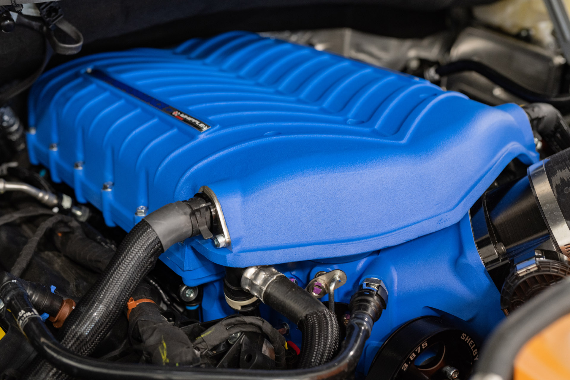 2021 Shelby F-150 Super Snake Pumps Out 775 HP, Priced From $113,680