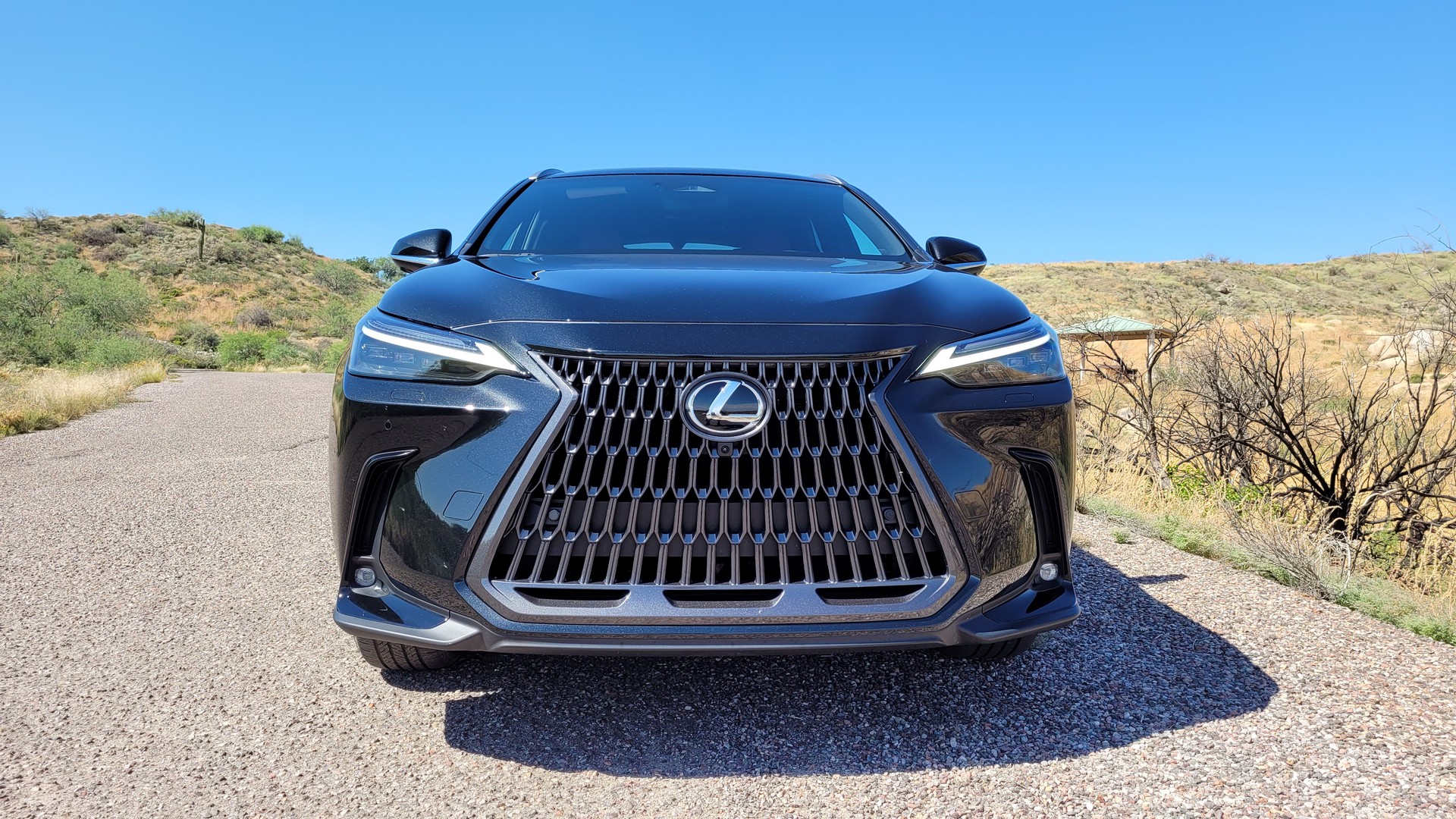 Driven: The 2022 Lexus NX Embraces More Luxury, More Tech And Plug-In Hybrid Power