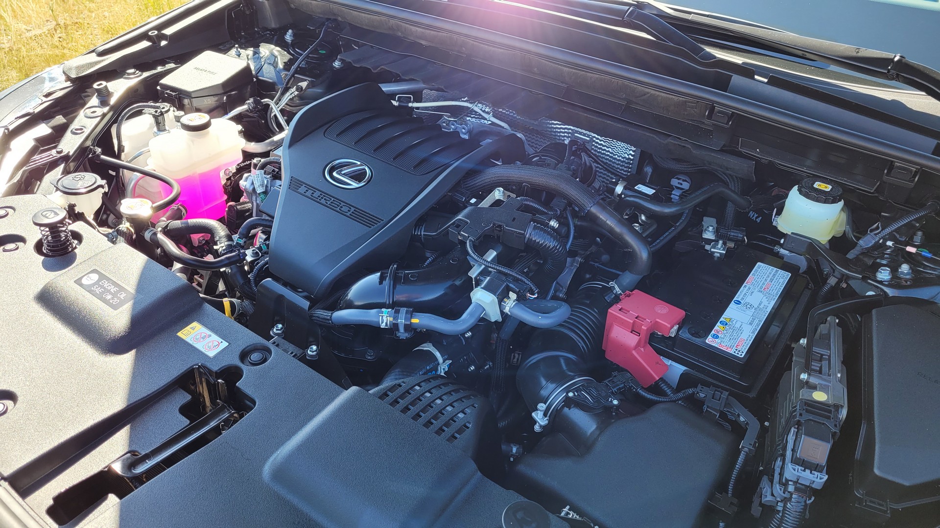 Driven: The 2022 Lexus NX Embraces More Luxury, More Tech And Plug-In Hybrid Power