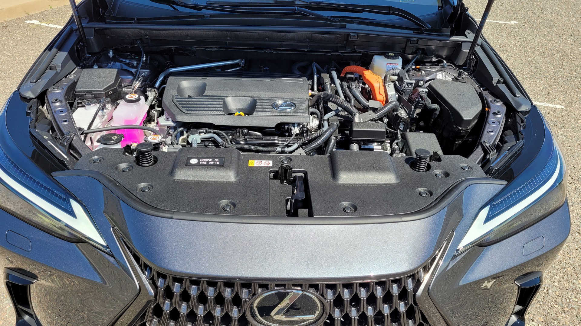 Driven: The 2022 Lexus NX Embraces More Luxury, More Tech And Plug-In Hybrid Power