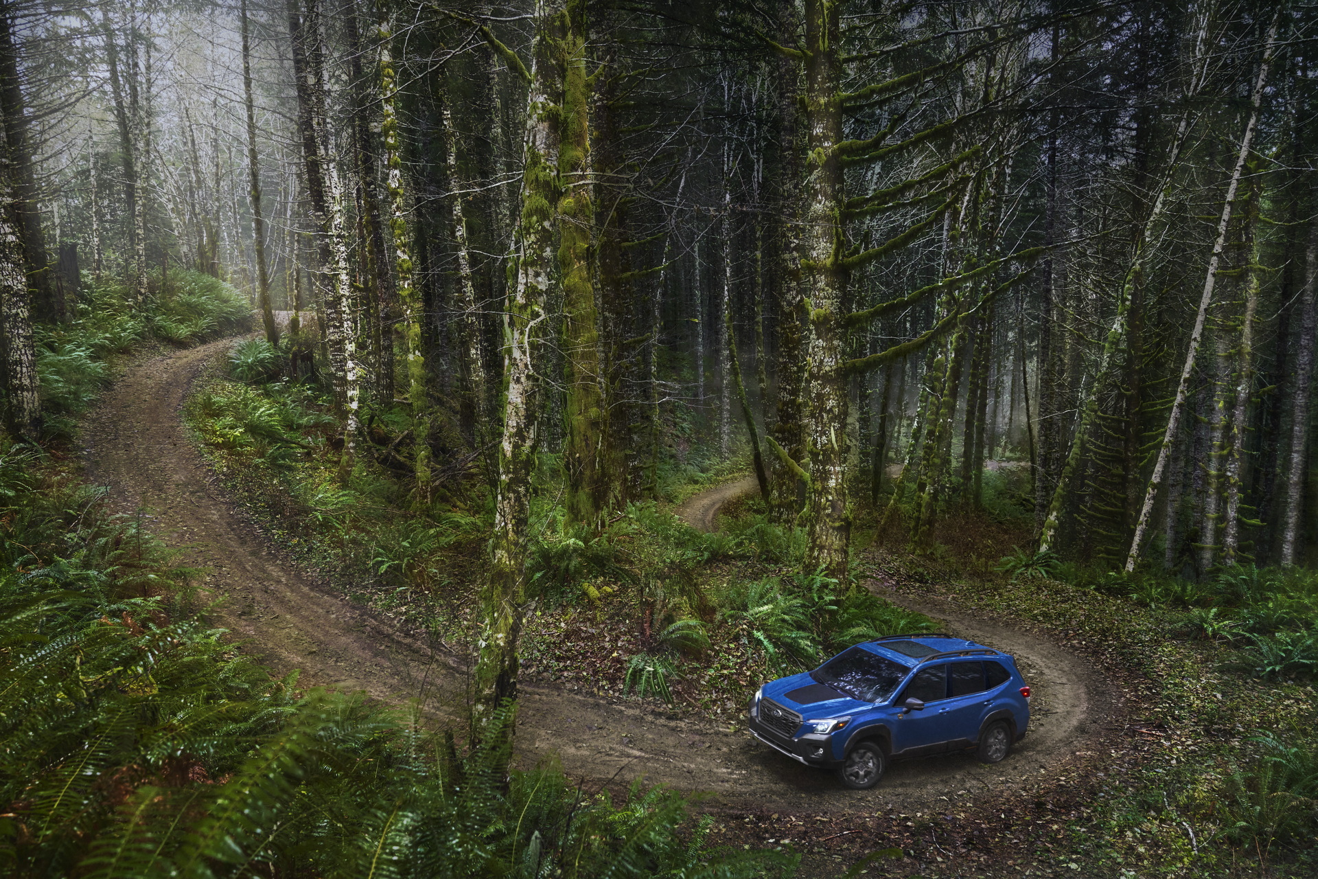 Subaru Unveils Facelifted 2022 Forester Alongside New Wilderness Edition Priced From $32,850