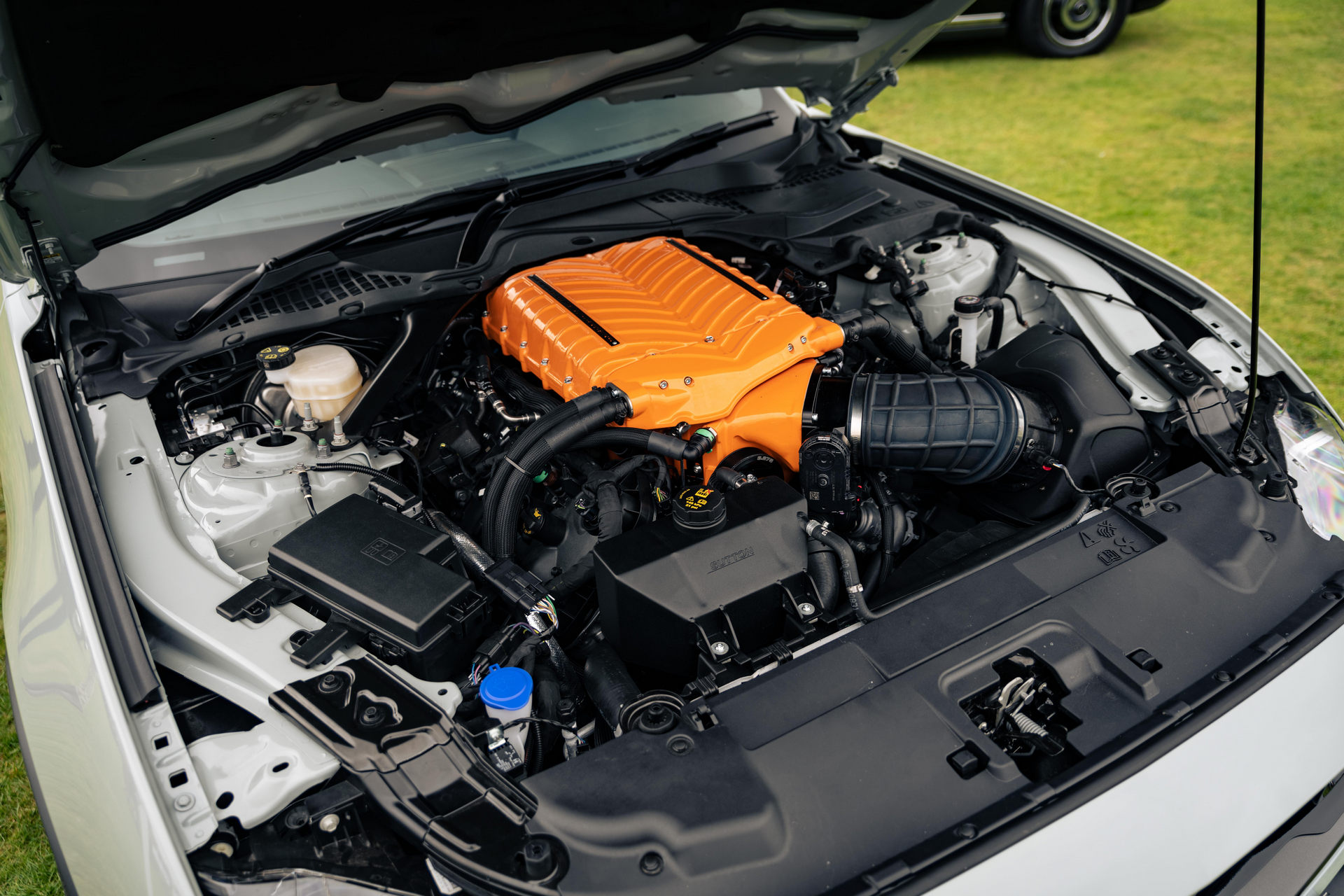 Clive Sutton’s New Ford Mustang Mach 1 767 Edition Has A 3.0-Liter Supercharger