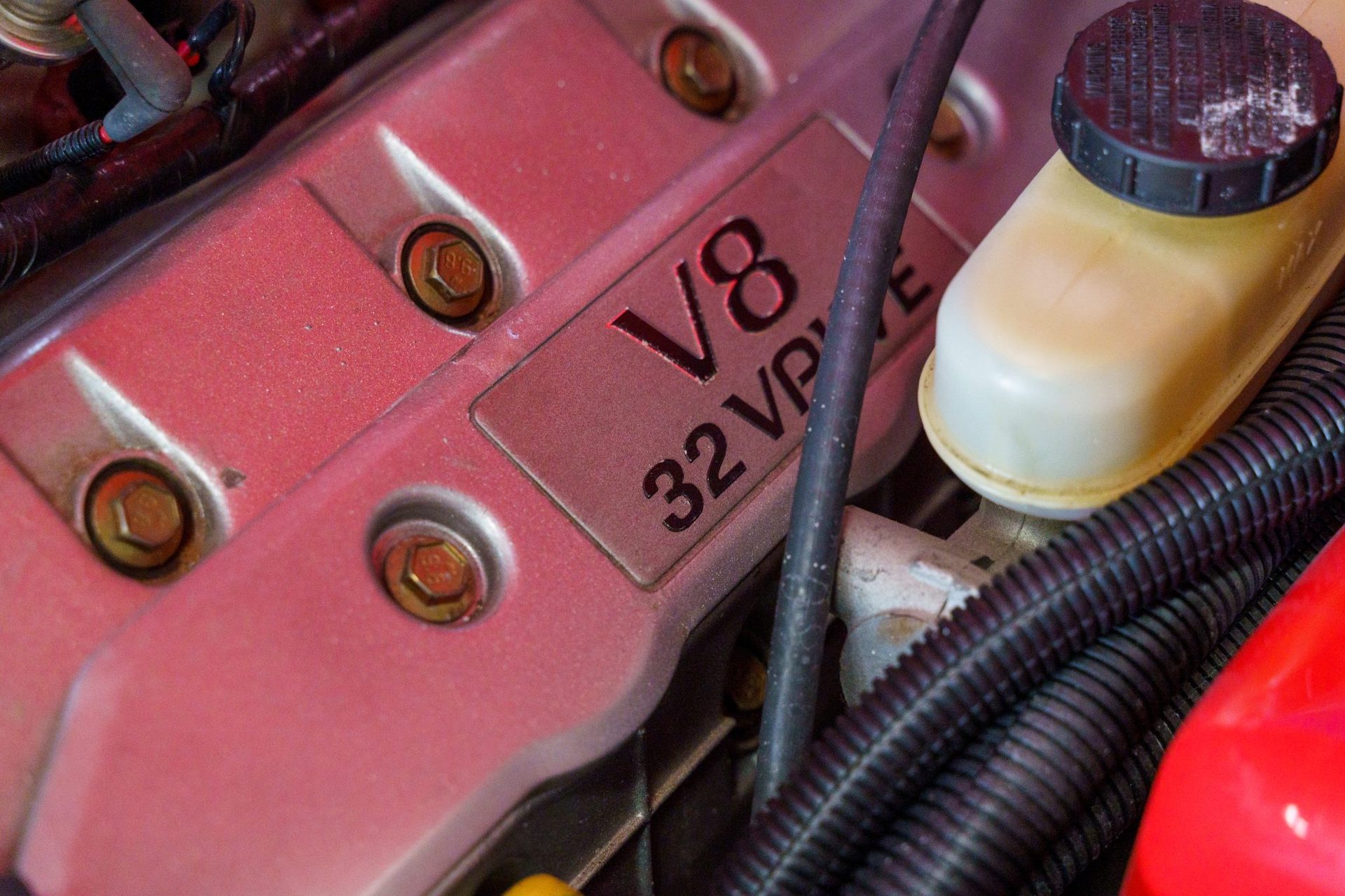 This 365-Mile SVT Mustang Cobra R Is Calling The New GT500 Out