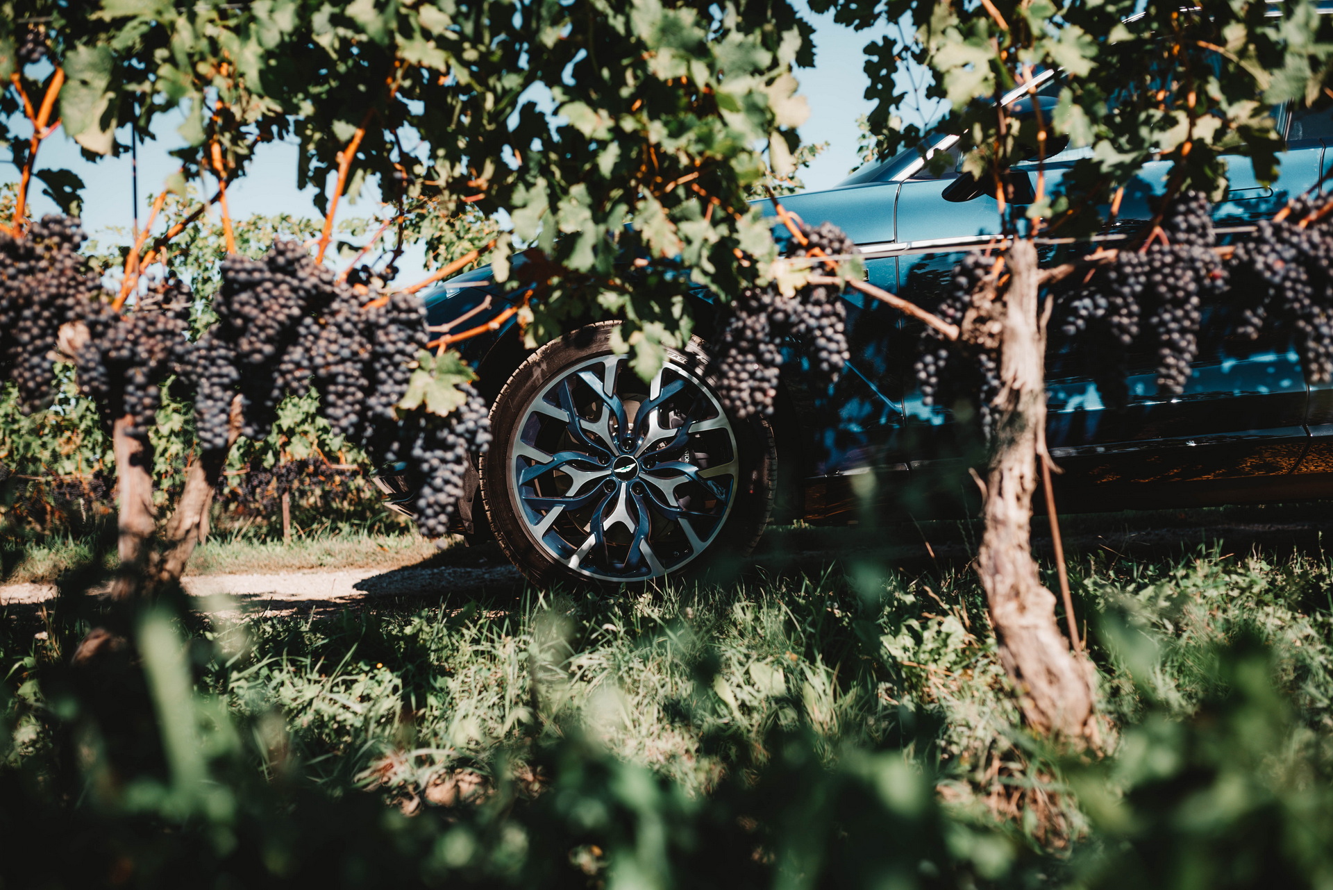 Aston Martin Toronto Unveils Bespoke DBX By Q Inspired By The Great Lakes