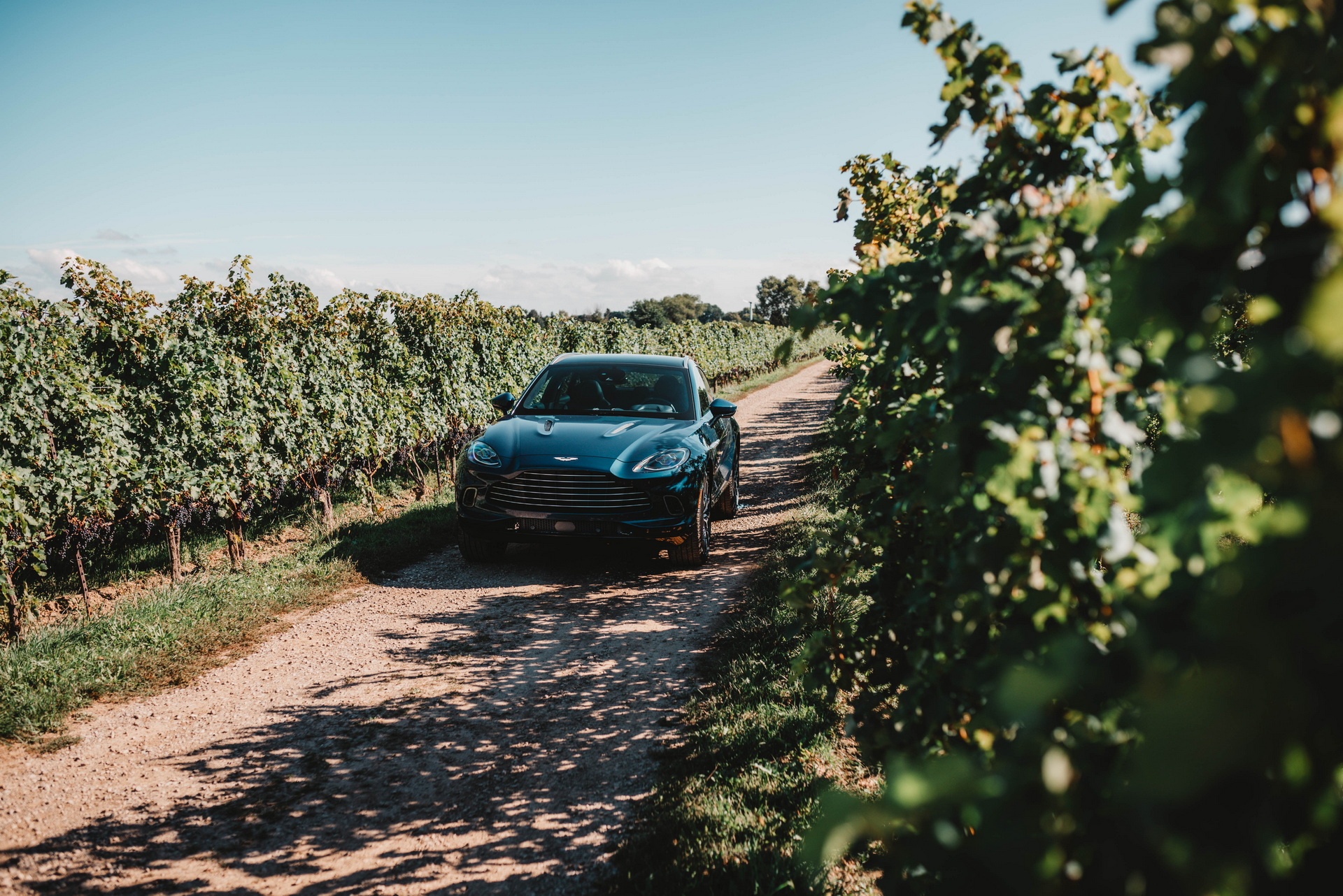 Aston Martin Toronto Unveils Bespoke DBX By Q Inspired By The Great Lakes