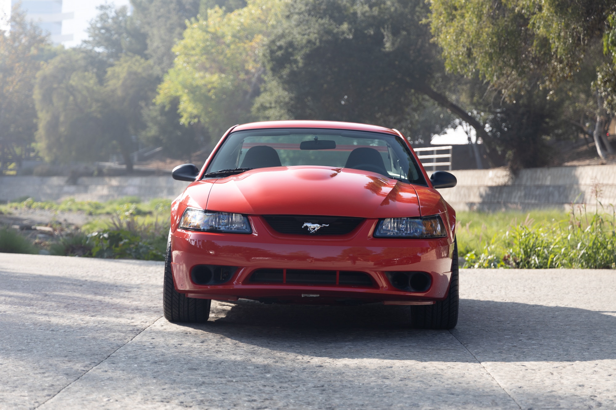 Ultra Rare, Ultra Low Mileage 2000 Ford Mustang SVT Cobra R Needs A New Home