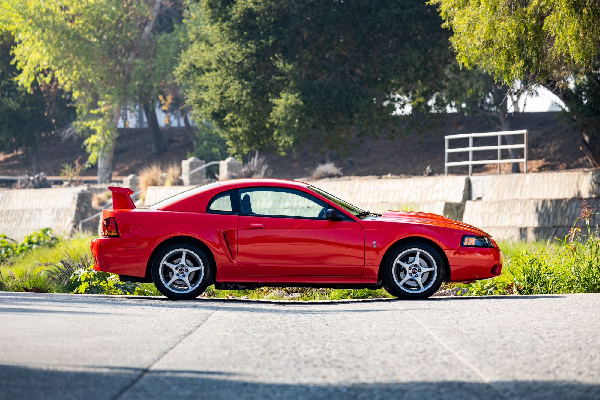 Ultra Rare, Ultra Low Mileage 2000 Ford Mustang SVT Cobra R Needs A New Home