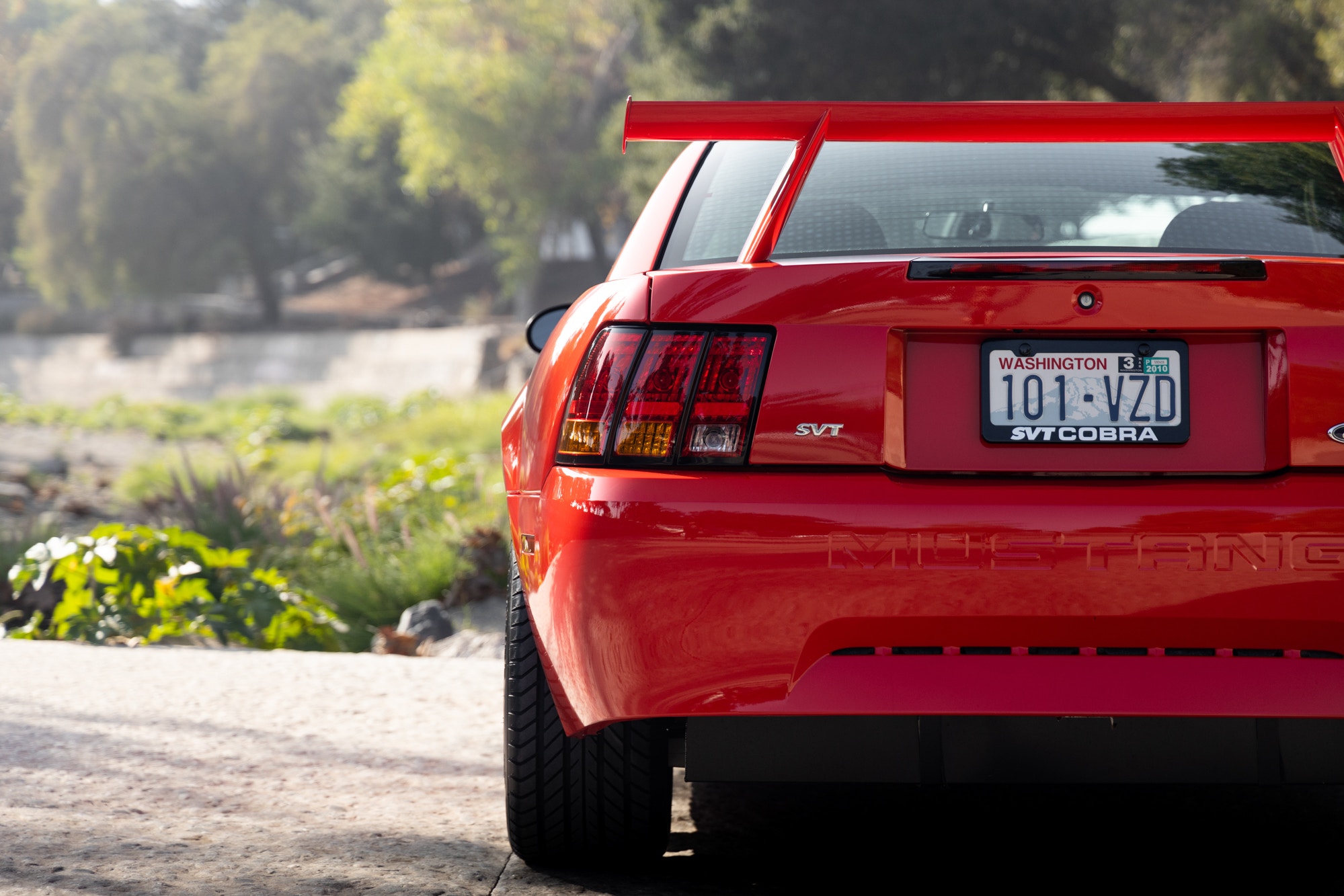 Ultra Rare, Ultra Low Mileage 2000 Ford Mustang SVT Cobra R Needs A New Home