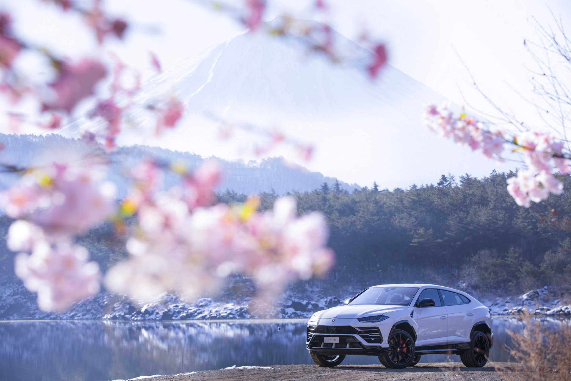 Lamborghini Urus Celebrates Four Years Of Record-Breaking Profitability