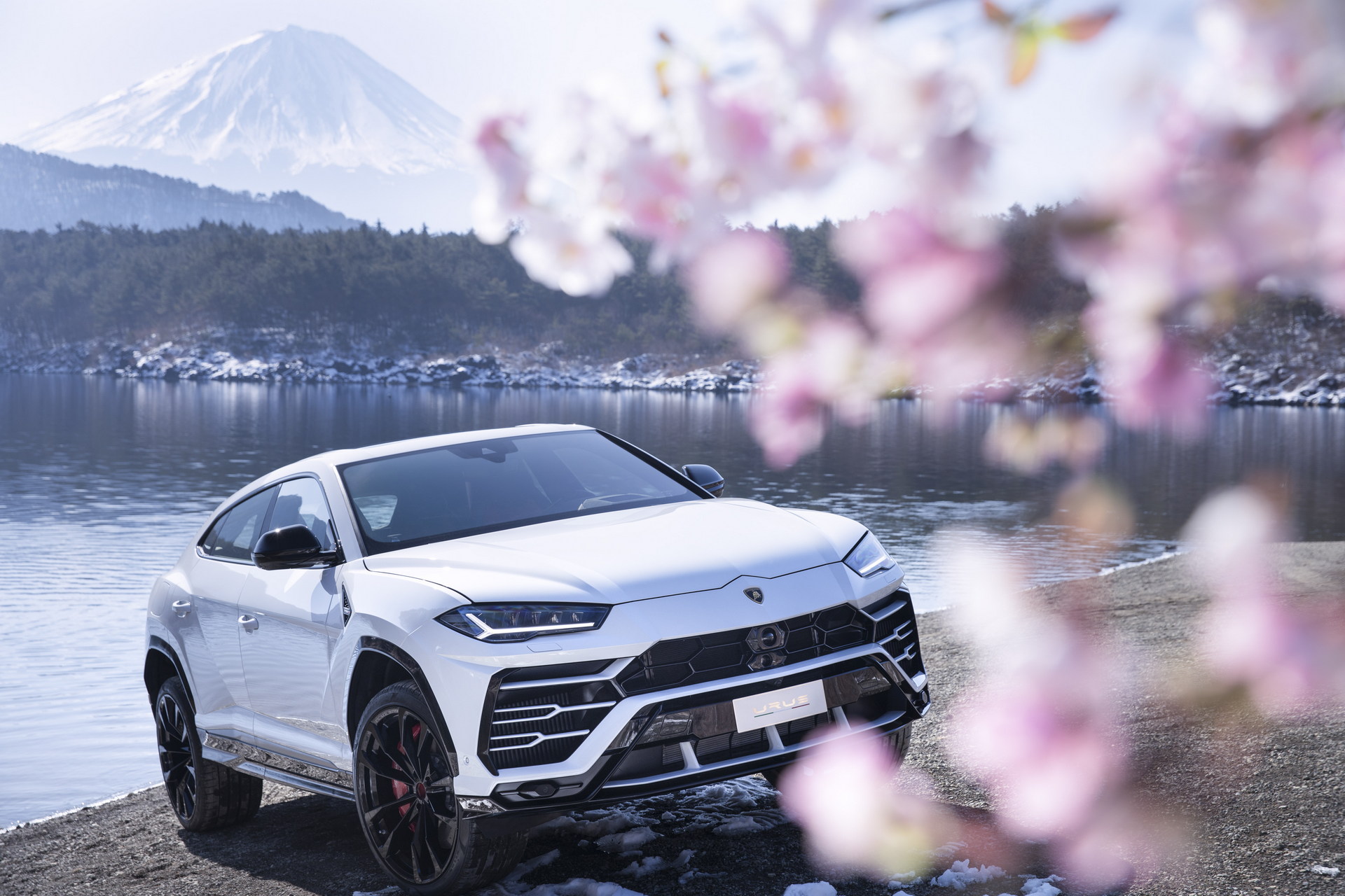 Lamborghini Urus Celebrates Four Years Of Record-Breaking Profitability