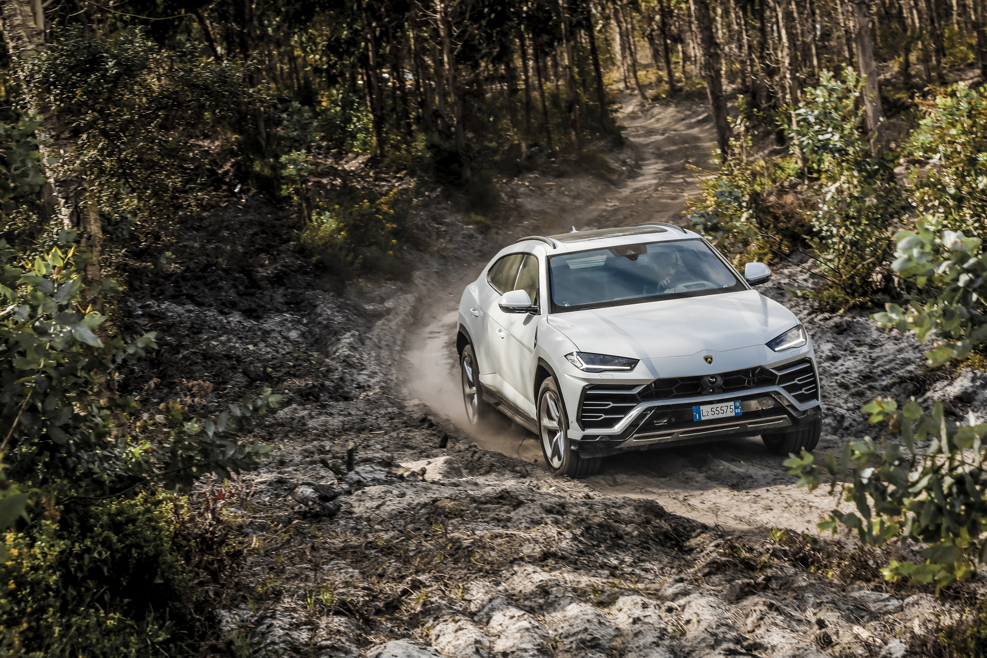 Lamborghini Urus Celebrates Four Years Of Record-Breaking Profitability