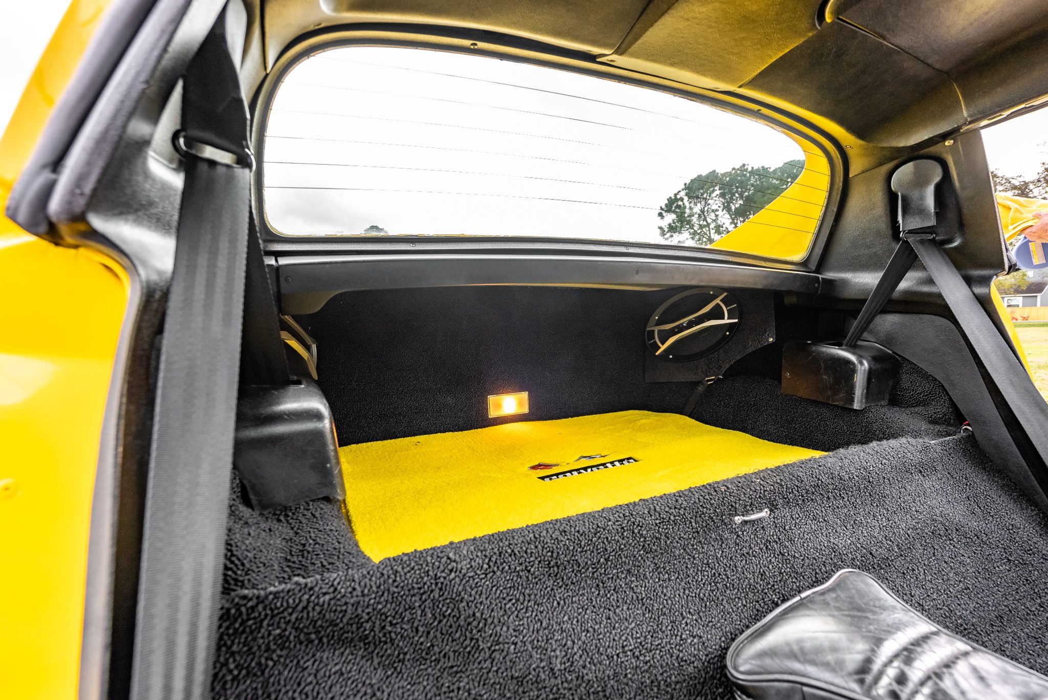 How Could This Chevroge Viporvette Not Sell On BaT?