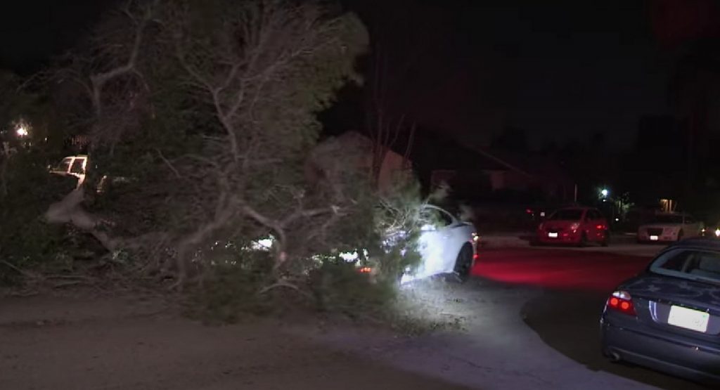  Mustang Driver Proves The Reputation Is Earned, Crashes Into Toppled Tree That Came Out Of Nowhere