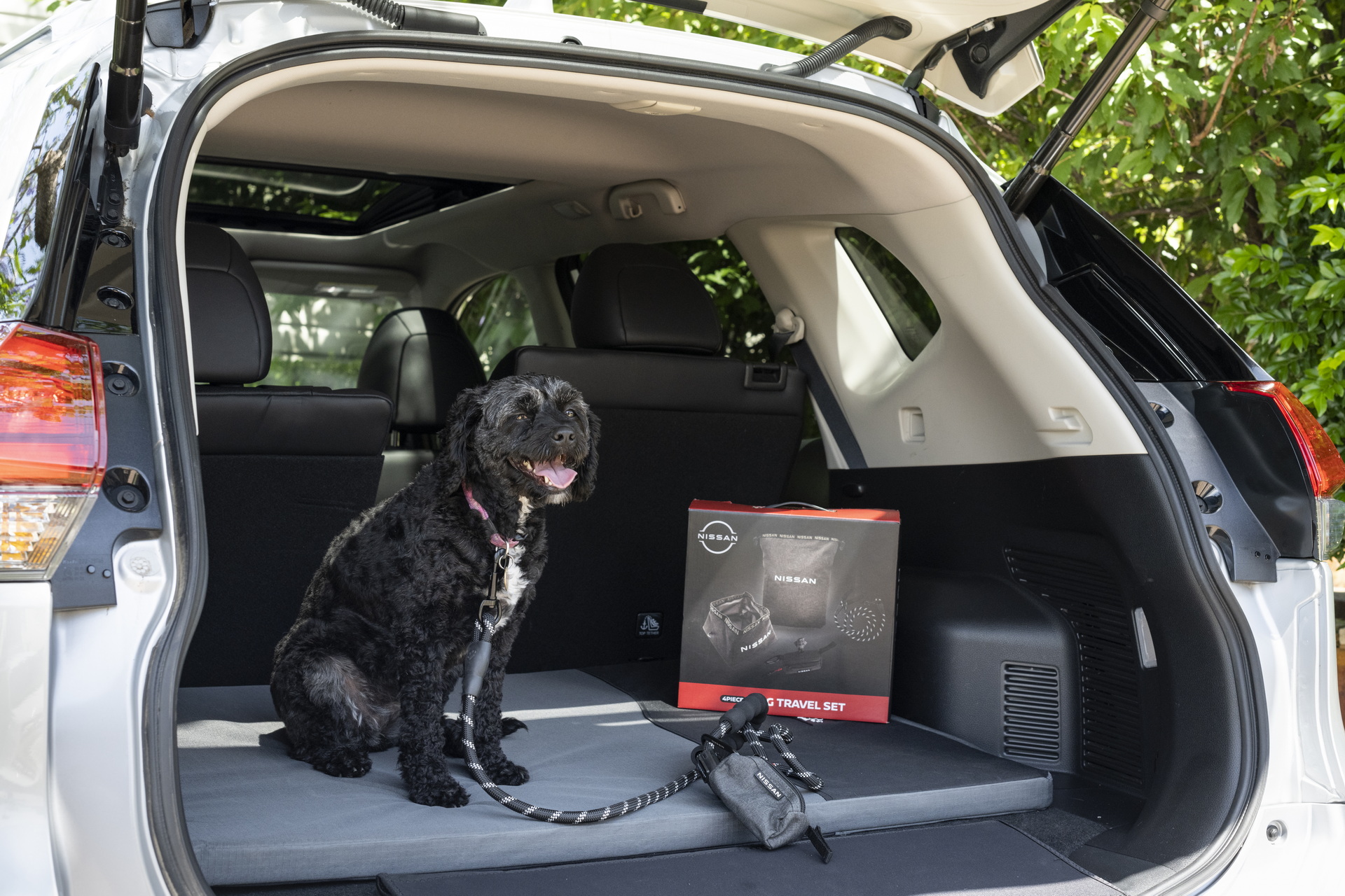 Nissan Australia Introduces Pet Accessories To Make Road Trips With Dogs Easier