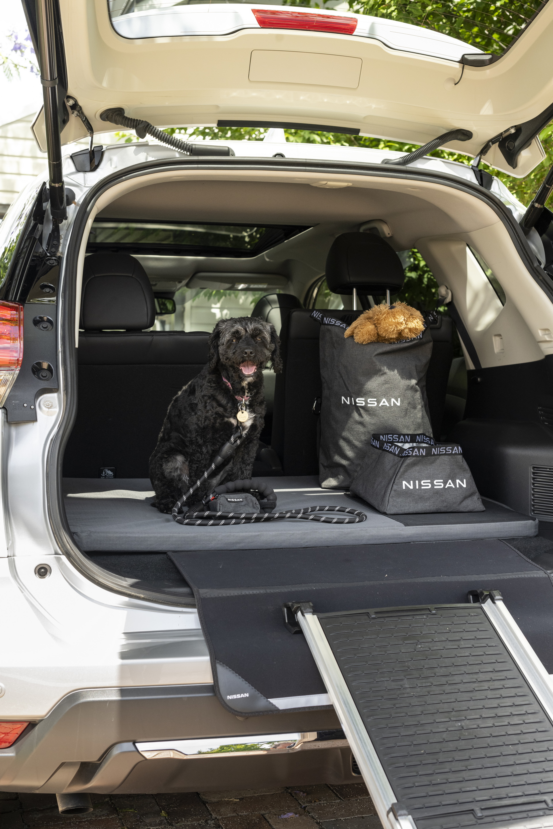 Nissan Australia Introduces Pet Accessories To Make Road Trips With Dogs Easier