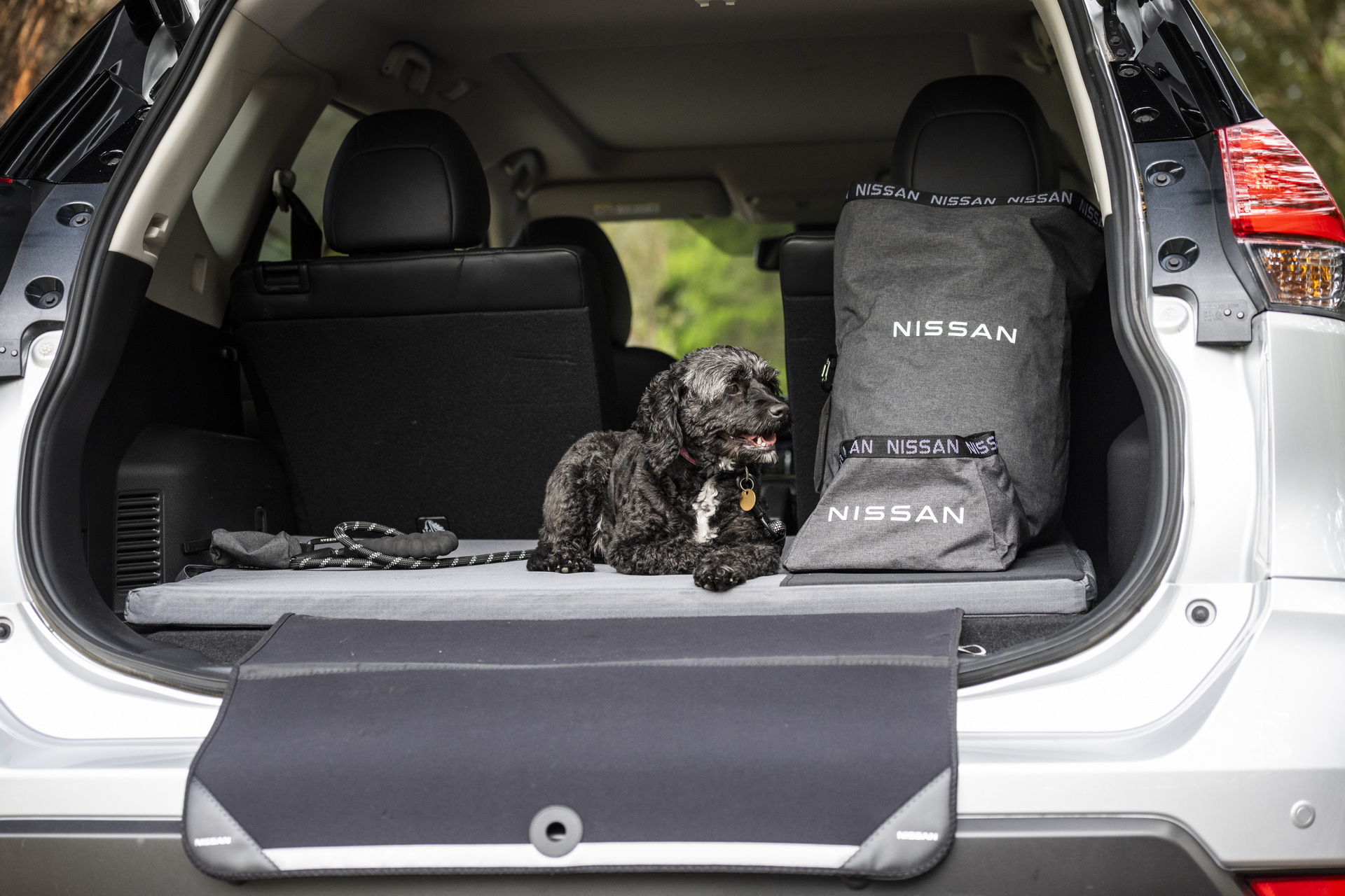 Nissan Australia Introduces Pet Accessories To Make Road Trips With Dogs Easier
