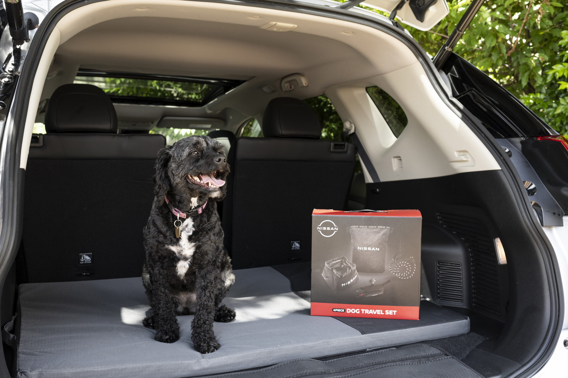 Nissan Australia Introduces Pet Accessories To Make Road Trips With Dogs Easier