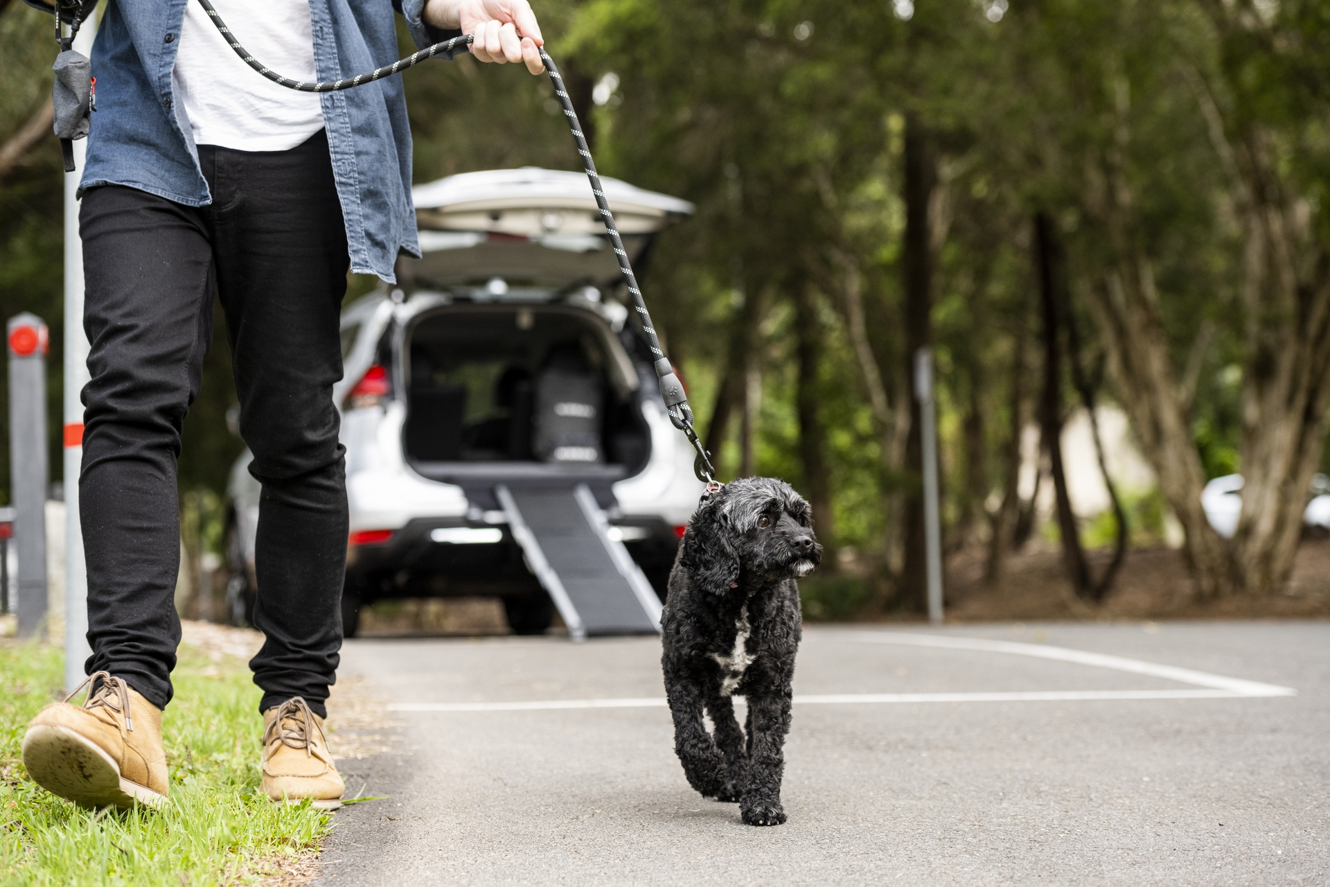 Nissan Australia Introduces Pet Accessories To Make Road Trips With Dogs Easier