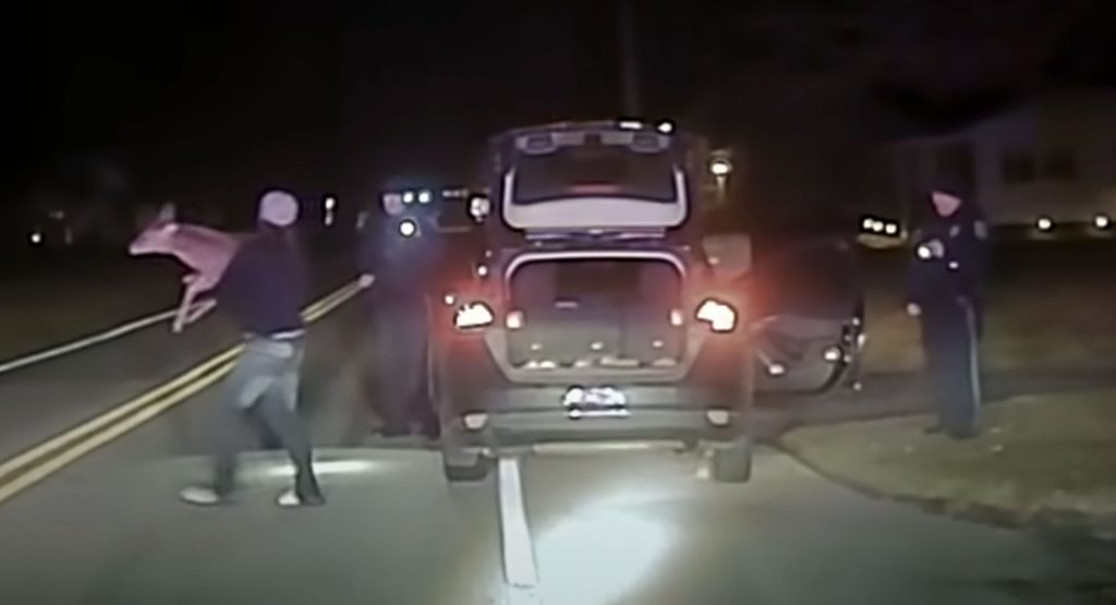 Pennsylvania Driver Pulls A Tommy Boy, Gets Busted By Police With Live Deer In Vehicle