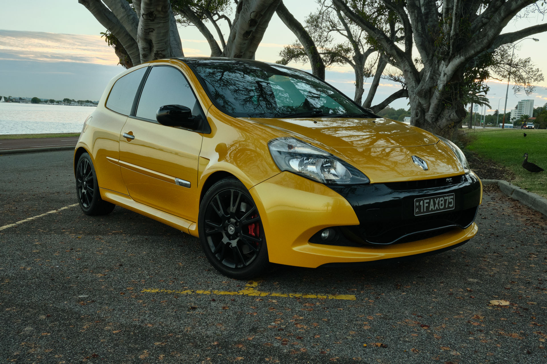 CarScoops Garage: This Is Our 2011 Renault Clio RS 200 AGP