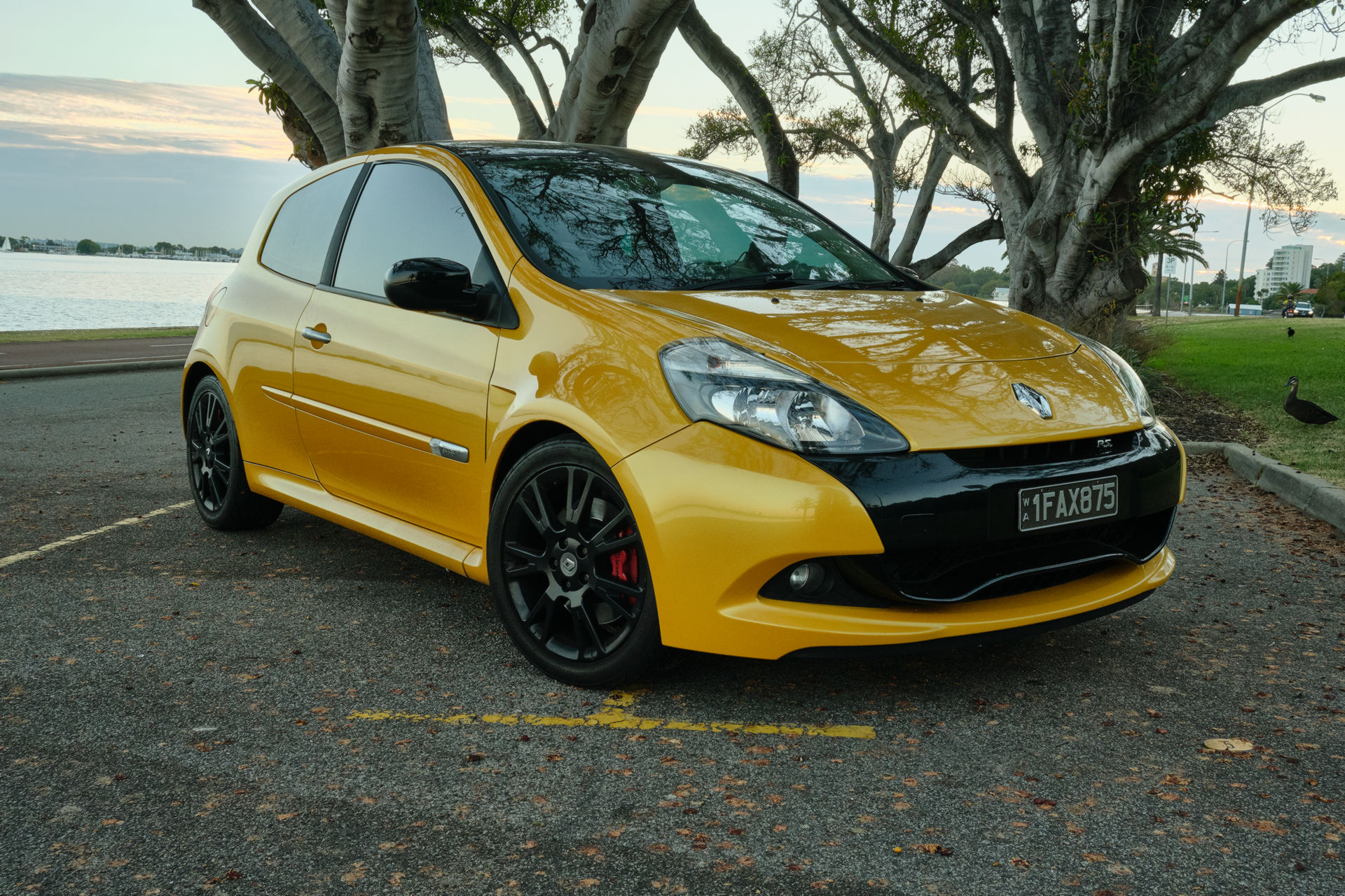 CarScoops Garage: This Is Our 2011 Renault Clio RS 200 AGP