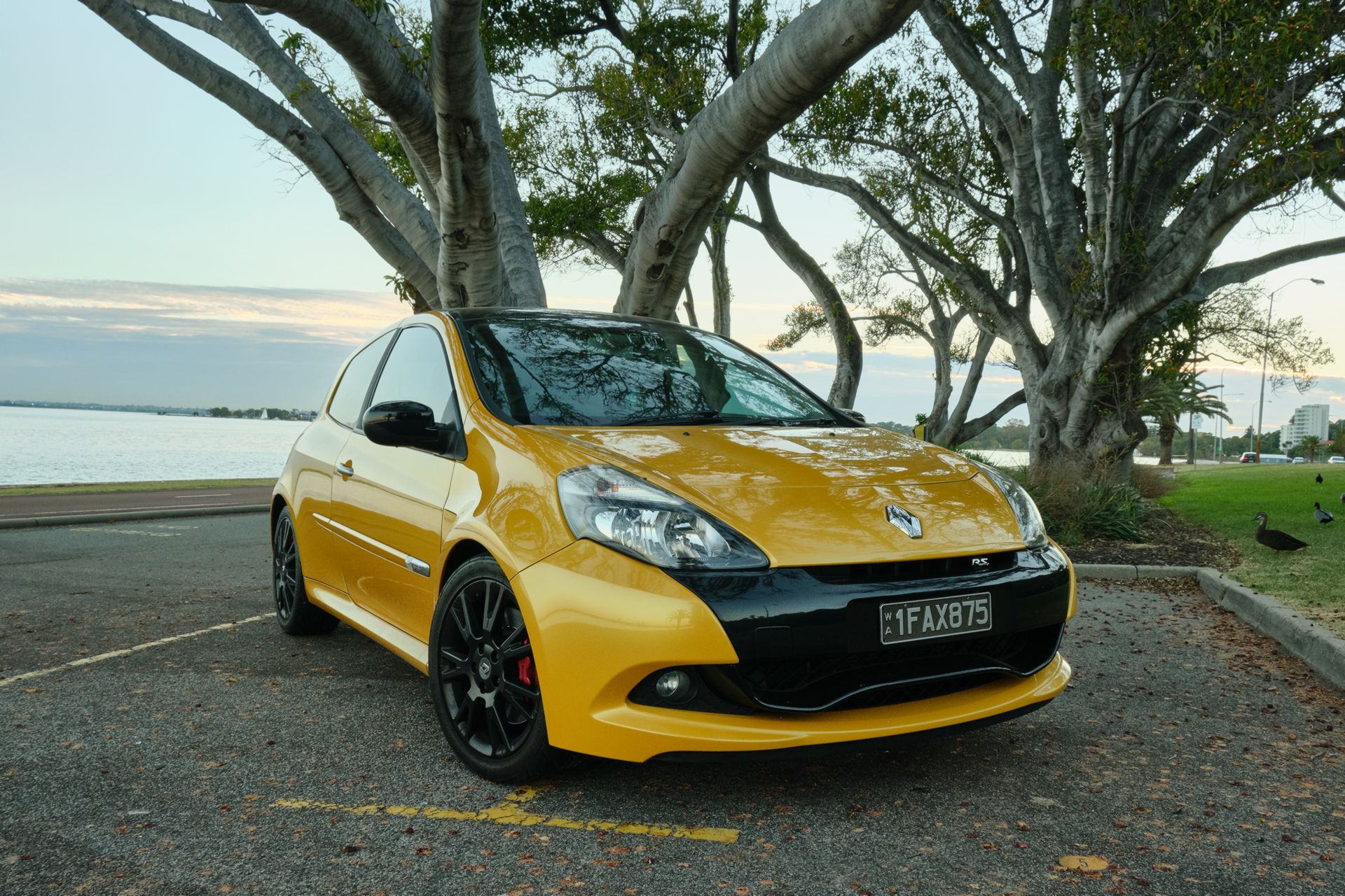 CarScoops Garage: This Is Our 2011 Renault Clio RS 200 AGP