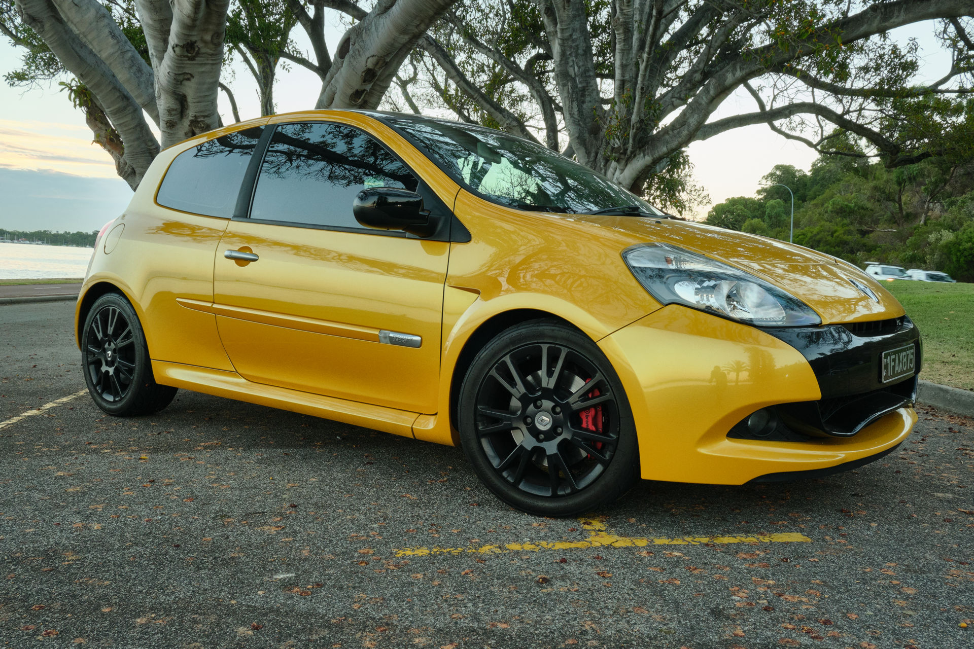 CarScoops Garage: This Is Our 2011 Renault Clio RS 200 AGP