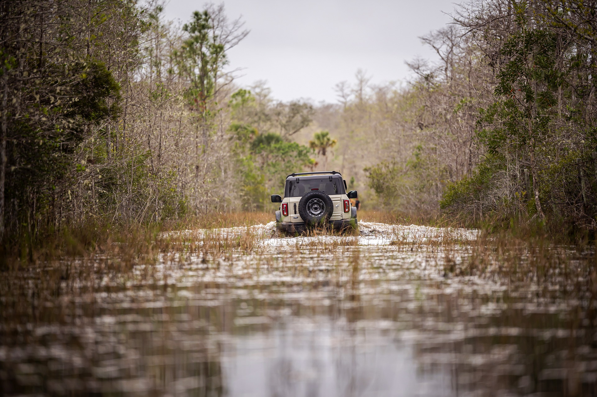 2022 Ford Bronco Everglades Gets Tough With A 10,000 Pound Winch And Snorkel For $53,000