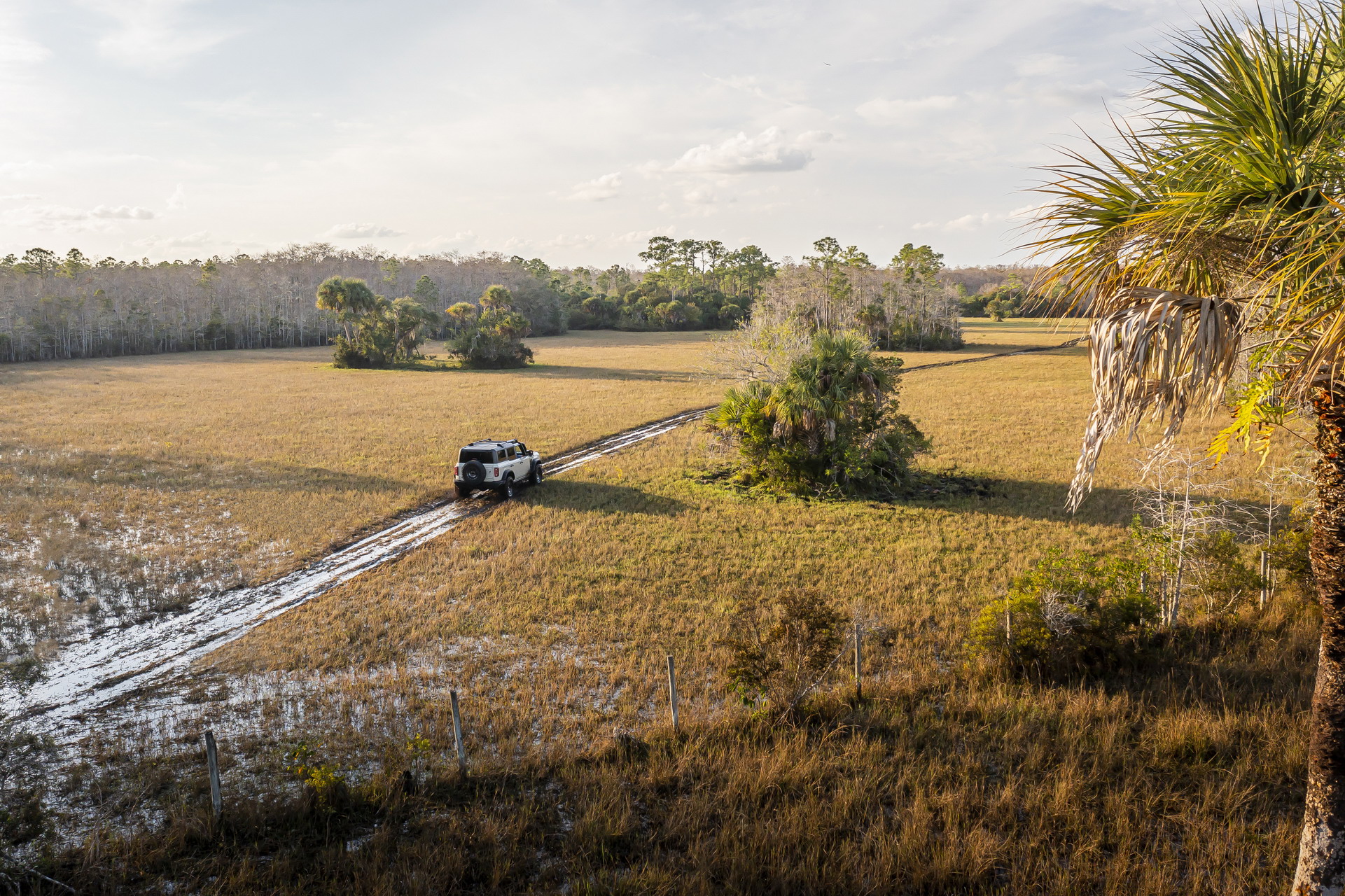 2022 Ford Bronco Everglades Gets Tough With A 10,000 Pound Winch And Snorkel For $53,000
