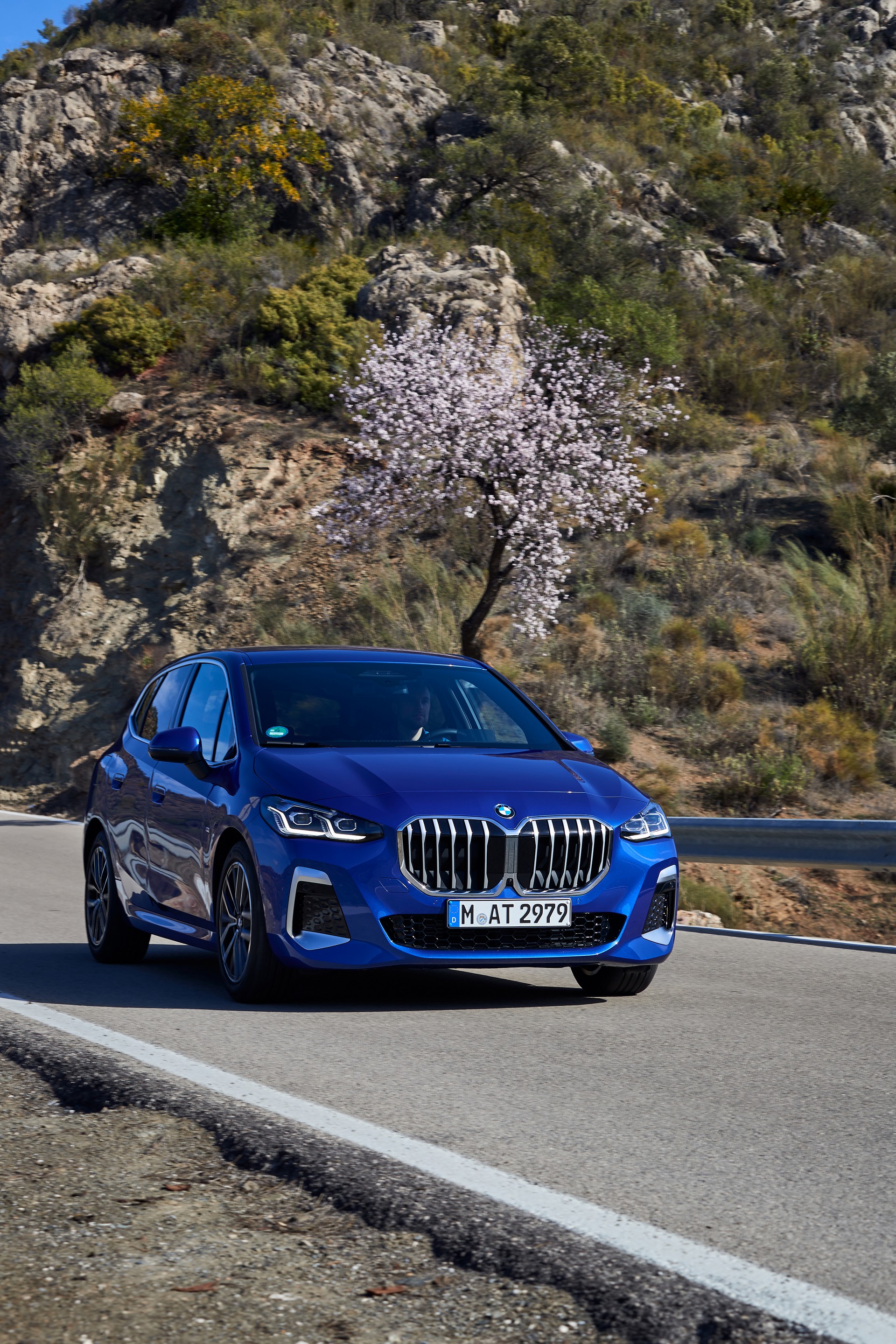 2022 BMW 2-Series Active Tourer Detailed In Massive New Gallery