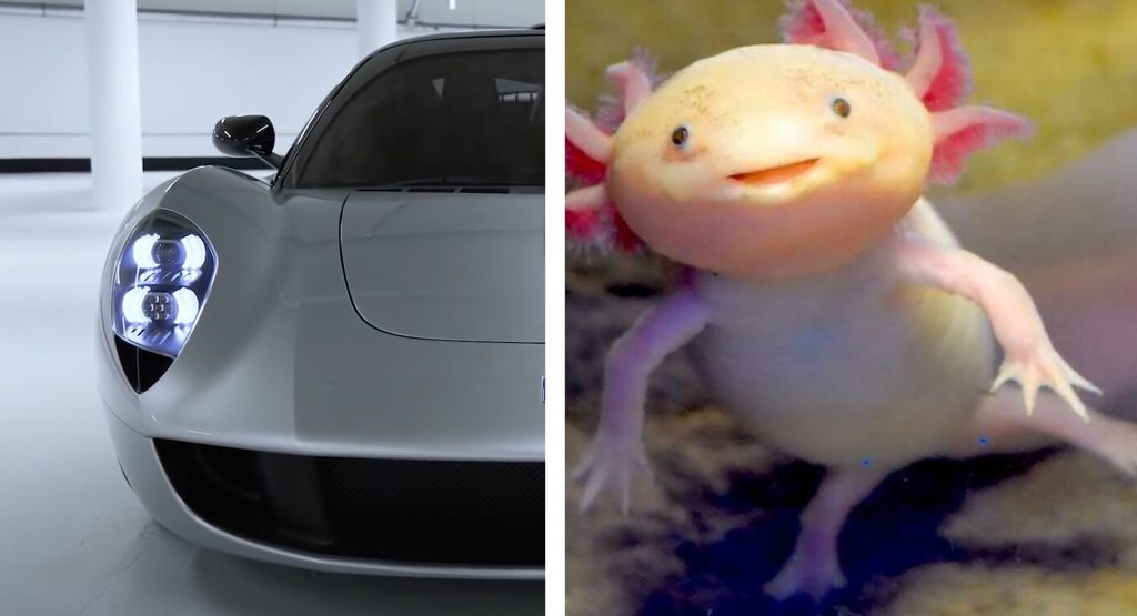  Did Frank Stephenson Just Say The Gordon T.33 Looks Like A Fish?