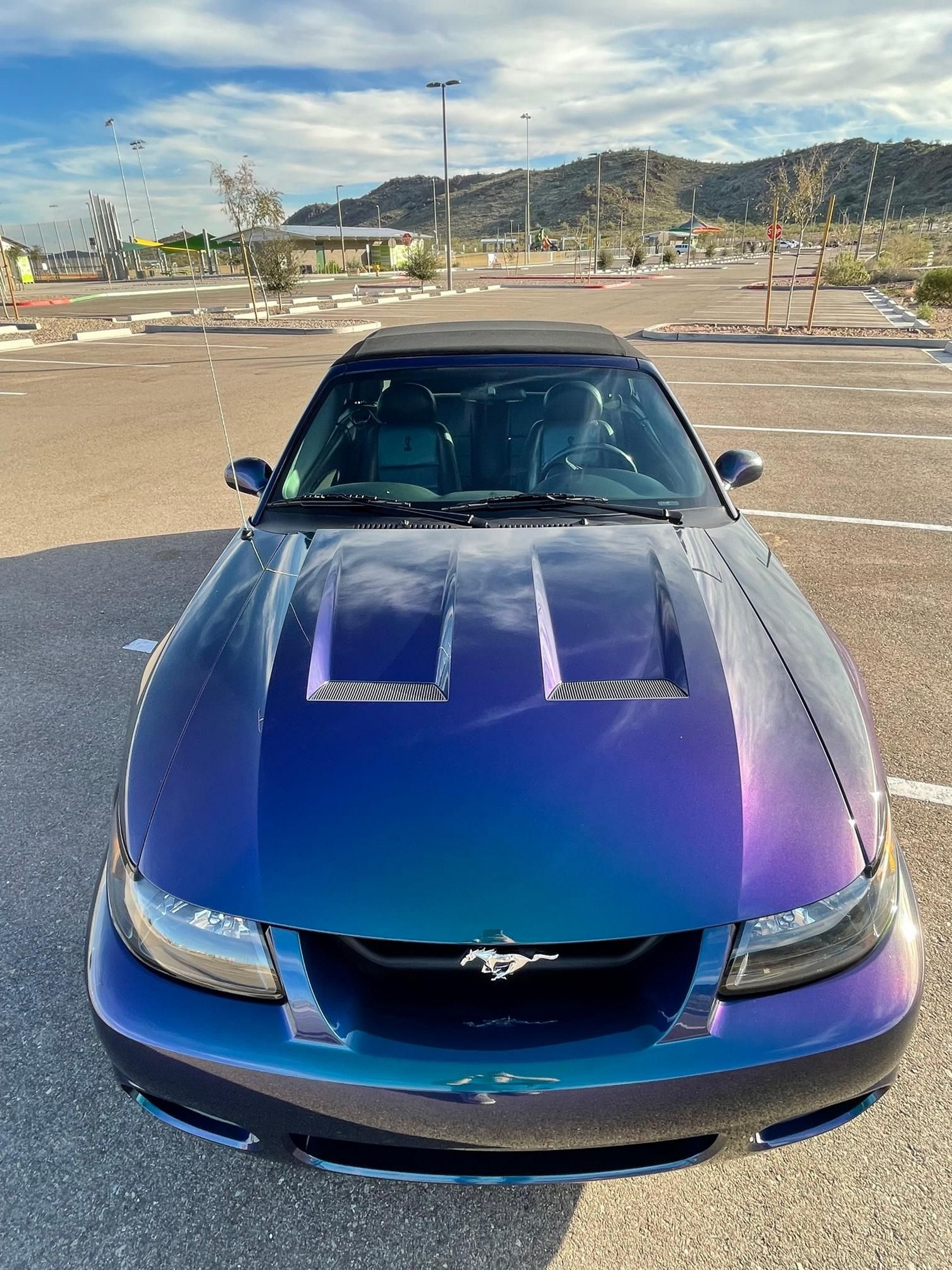 This Ford Mustang Terminator Cobra Is The Last Of Its Kind And Available Right Now