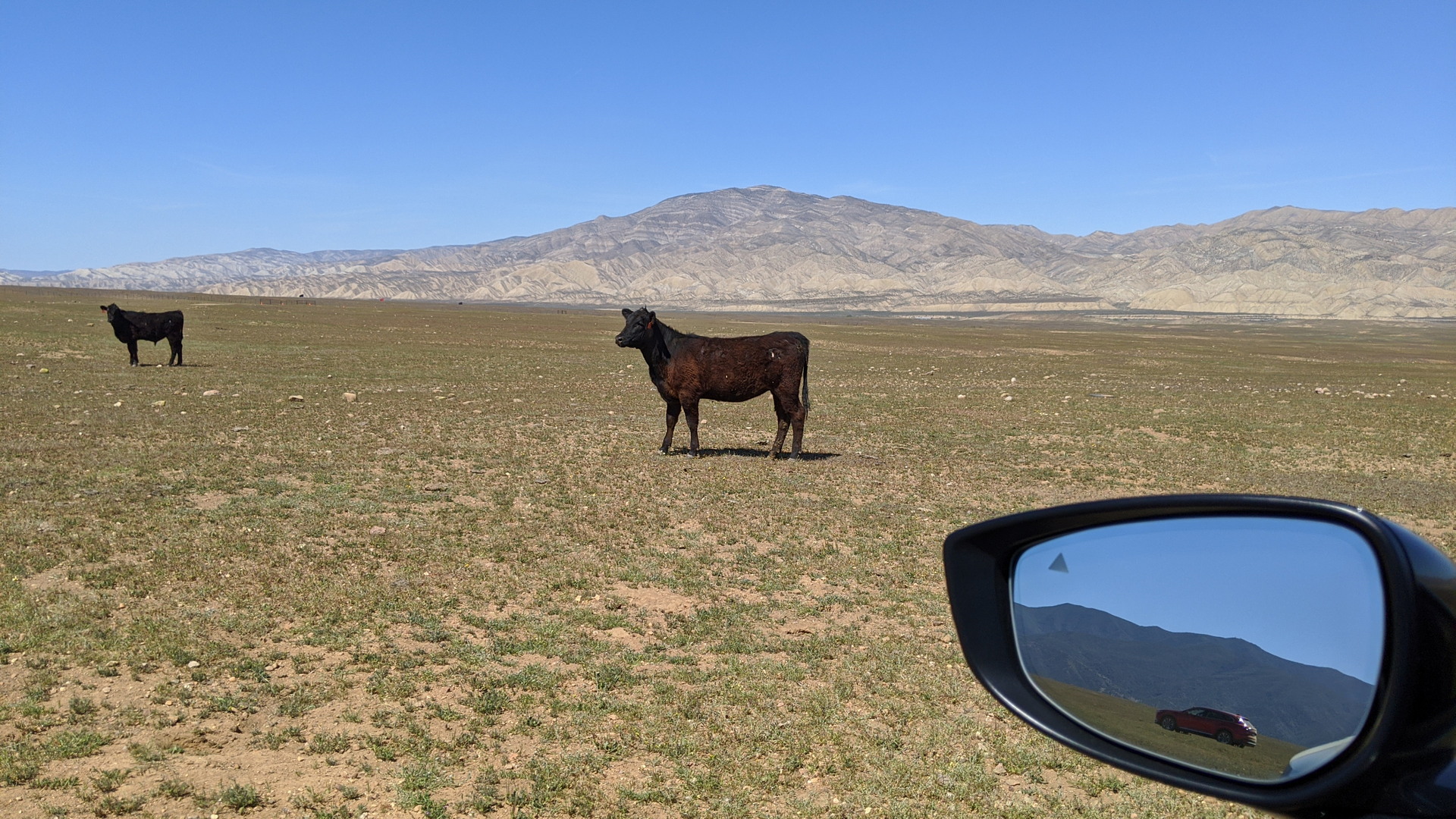 You Asked, We Answer: What You Want To Know About The 2023 Mazda CX-50 We Reviewed