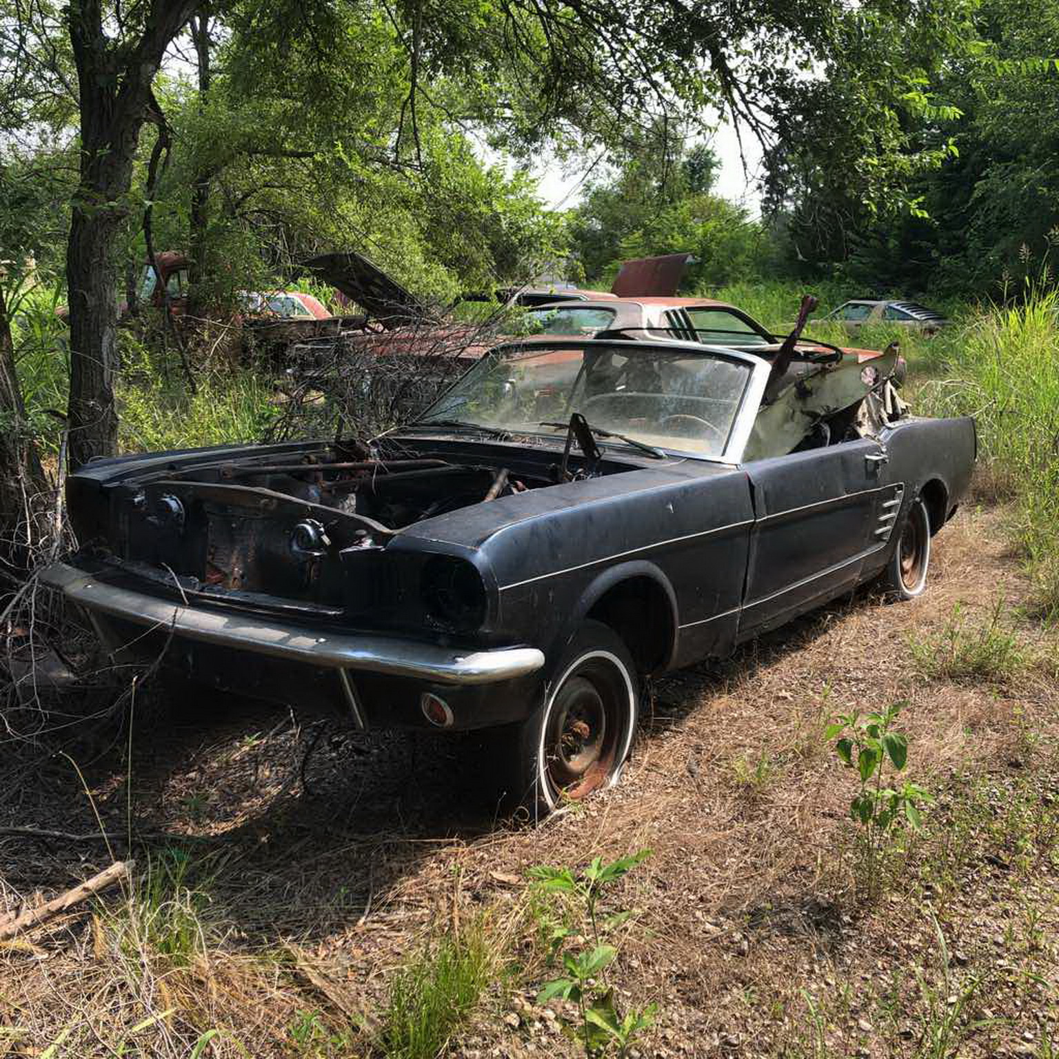 A Gearhead’s Massive Collection Of Over 130 Classic And Muscle Cars Are Being Sold At No Reserve