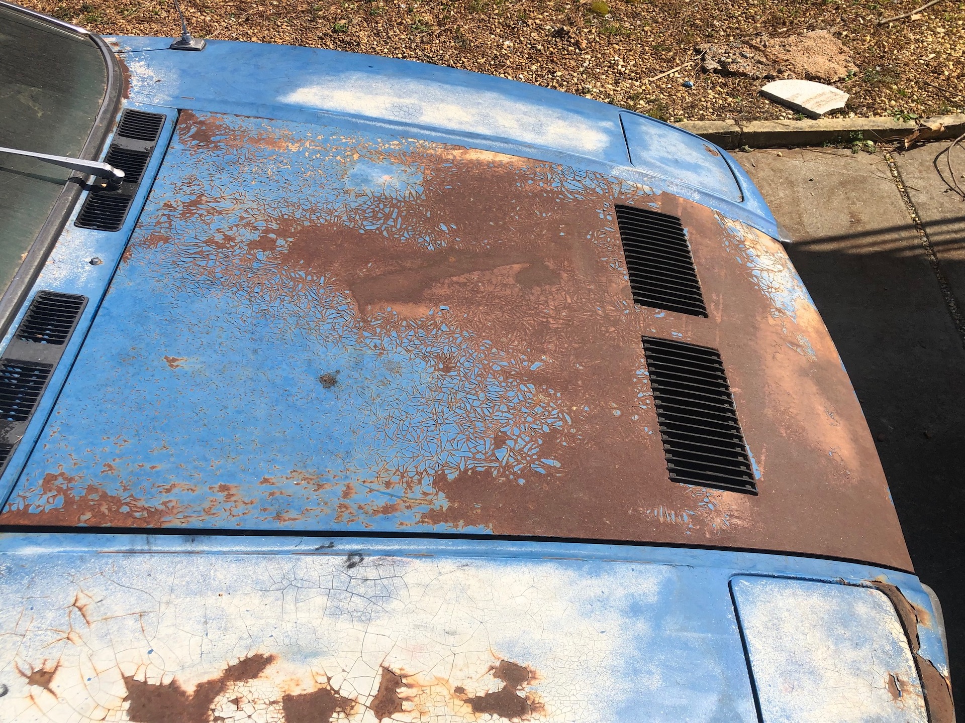 Are You Brave Enough To Bring This De Tomaso Pantera Back From The Shed?