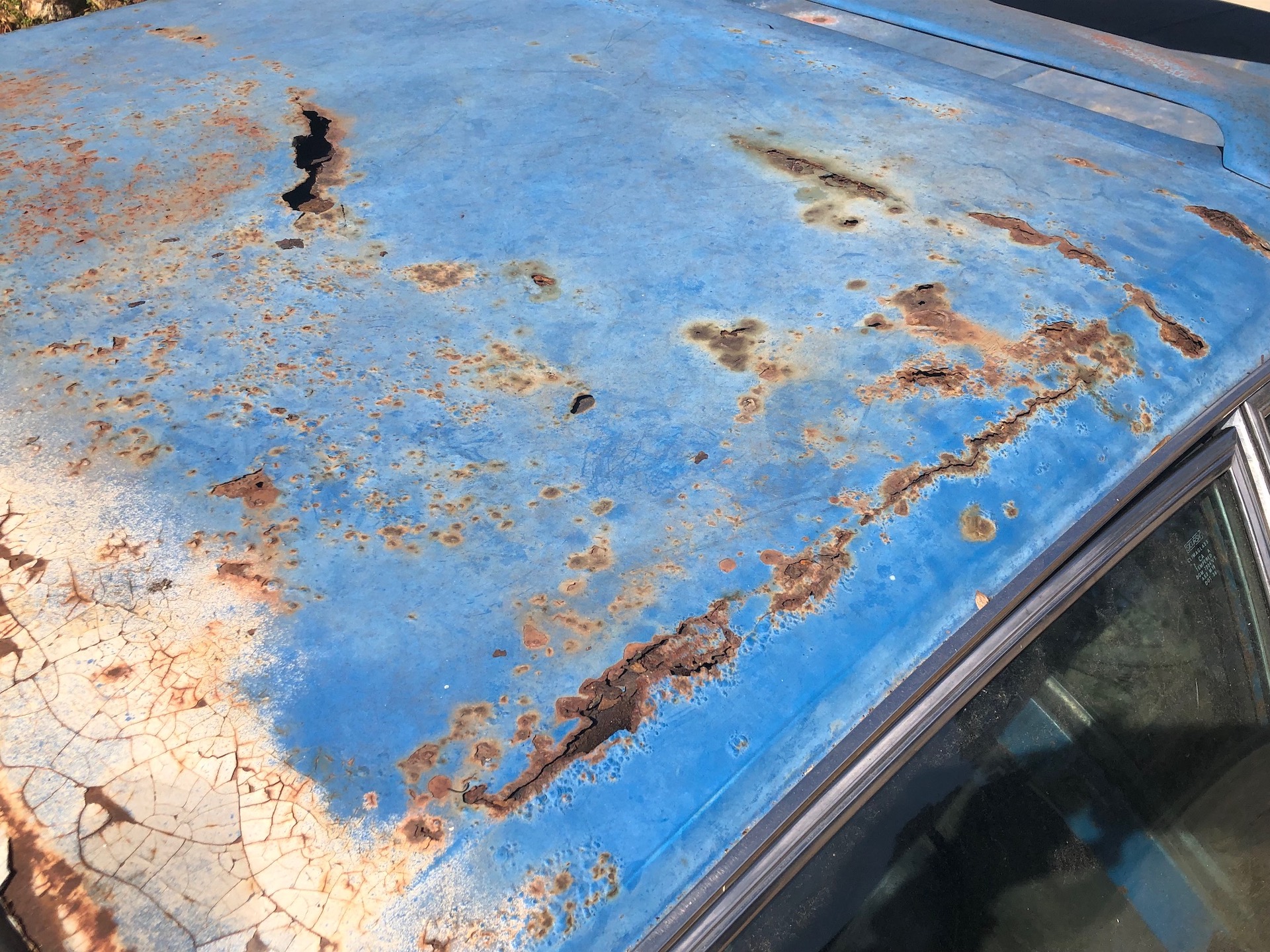 Are You Brave Enough To Bring This De Tomaso Pantera Back From The Shed?