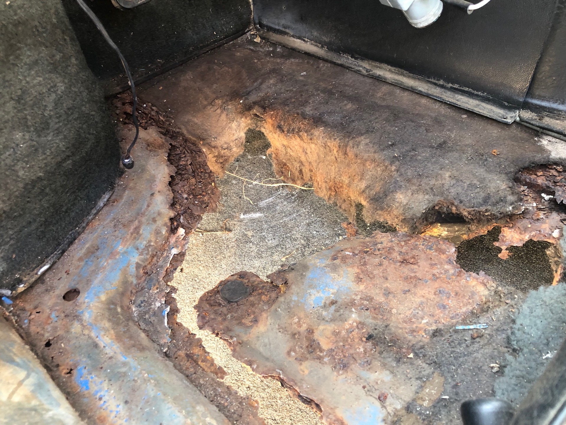 Are You Brave Enough To Bring This De Tomaso Pantera Back From The Shed?