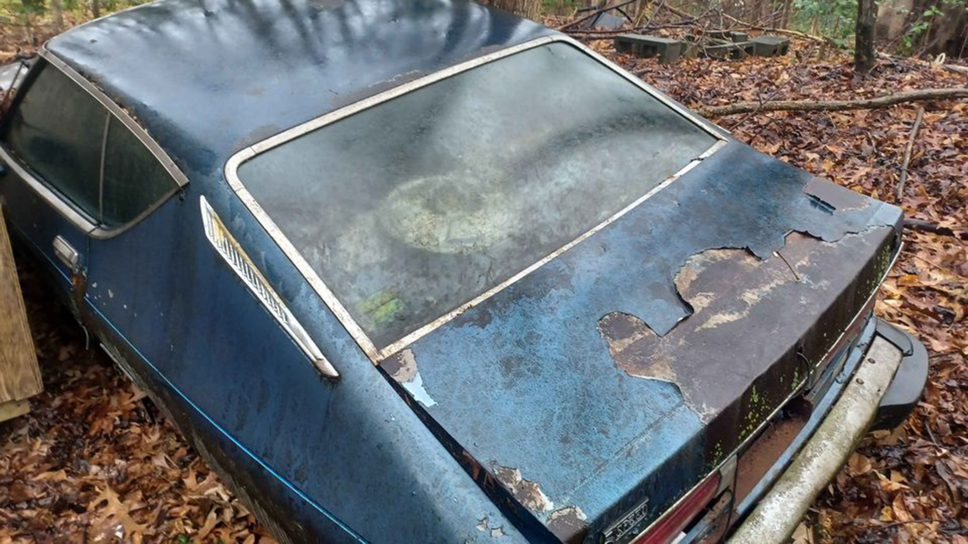Would You Let These Two Unloved Datsun 200SXs Follow You Home For $800?