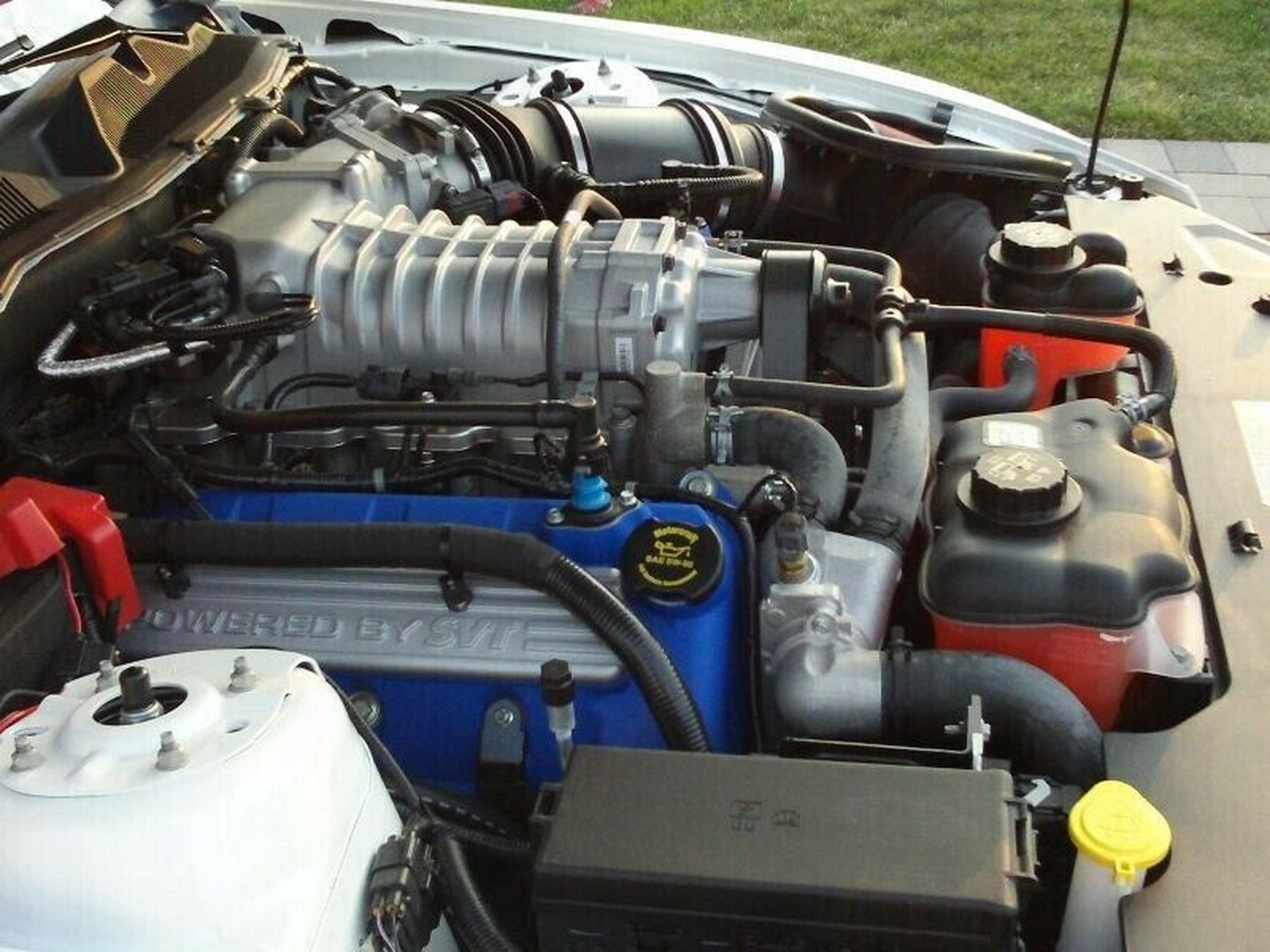 Buy This ‘One Of Two’ 2011 Shelby GT500 Tribute Prototype For The Price Of A New GT500