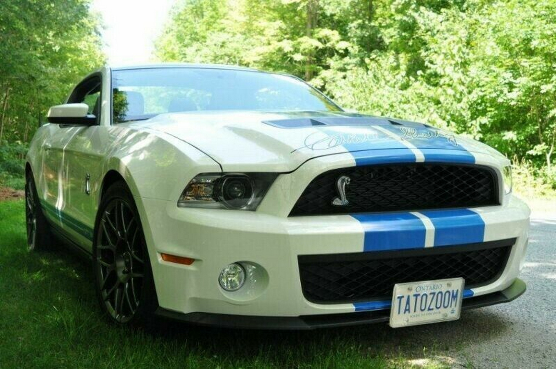 Buy This ‘One Of Two’ 2011 Shelby GT500 Tribute Prototype For The Price Of A New GT500