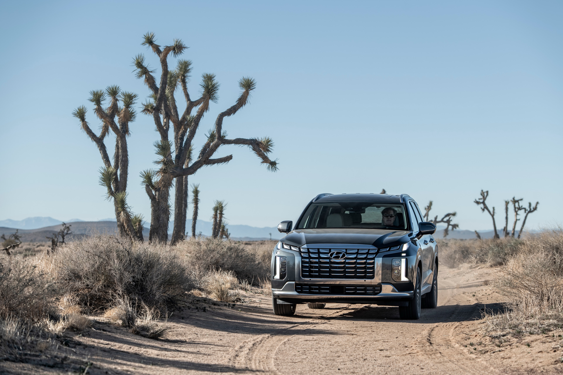 2023 Hyundai Palisade Brings Butch New Looks And Tech-Enhanced Interior
