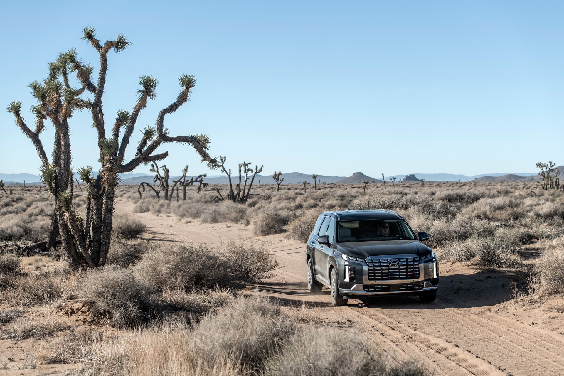 2023 Hyundai Palisade Brings Butch New Looks And Tech-Enhanced Interior