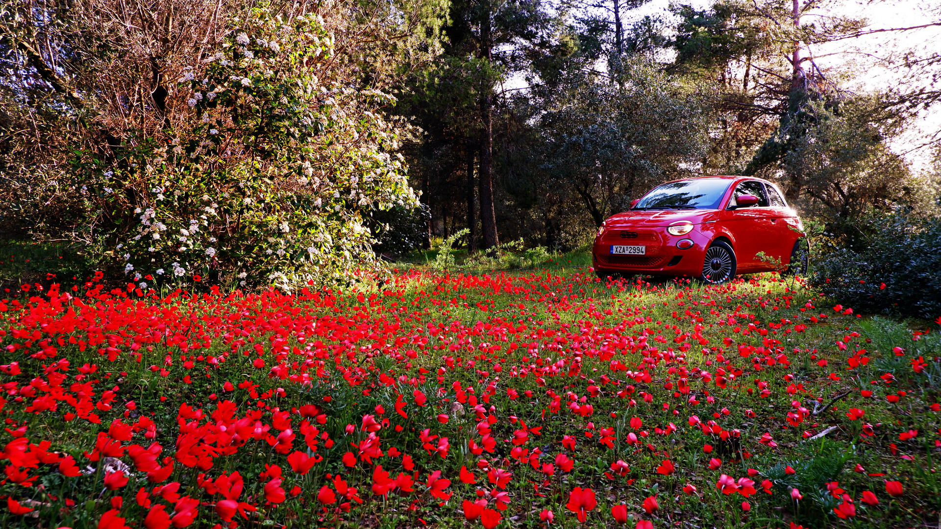 Driven: The Fiat 500 RED Is A Charming And Easy-Going Urban EV